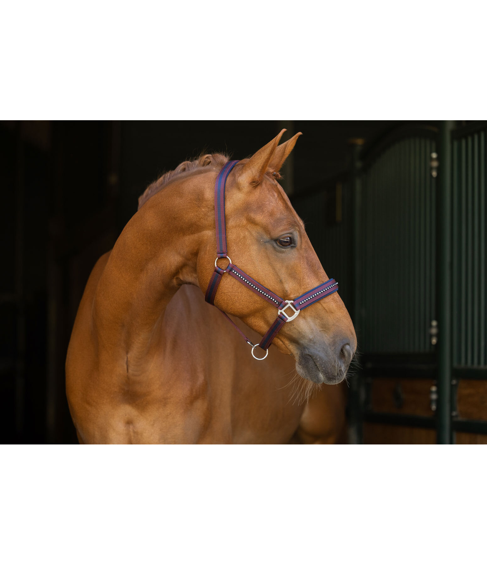 Halfter Twotone & Crystal