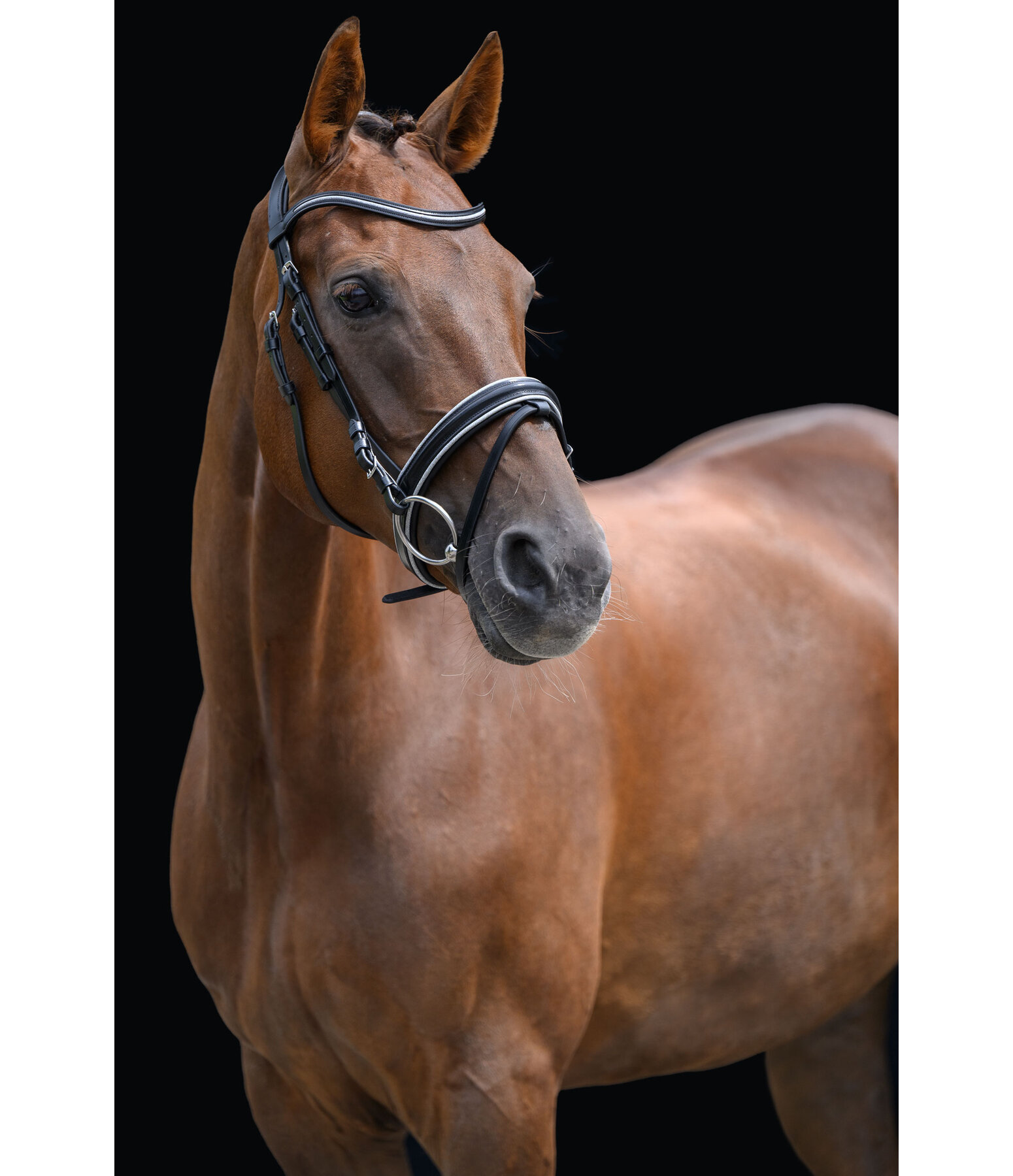 Zaum Glamour