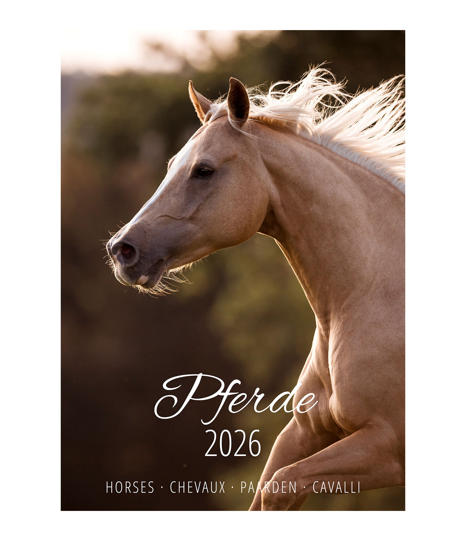 Pferdekalender 2026  mit deutschem Kalendarium