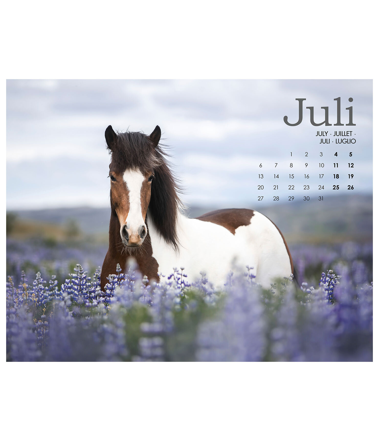 Islnder Kalender 2026