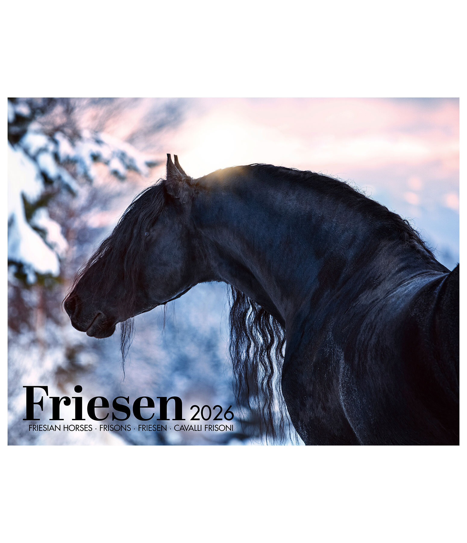 Friesen Kalender 2026