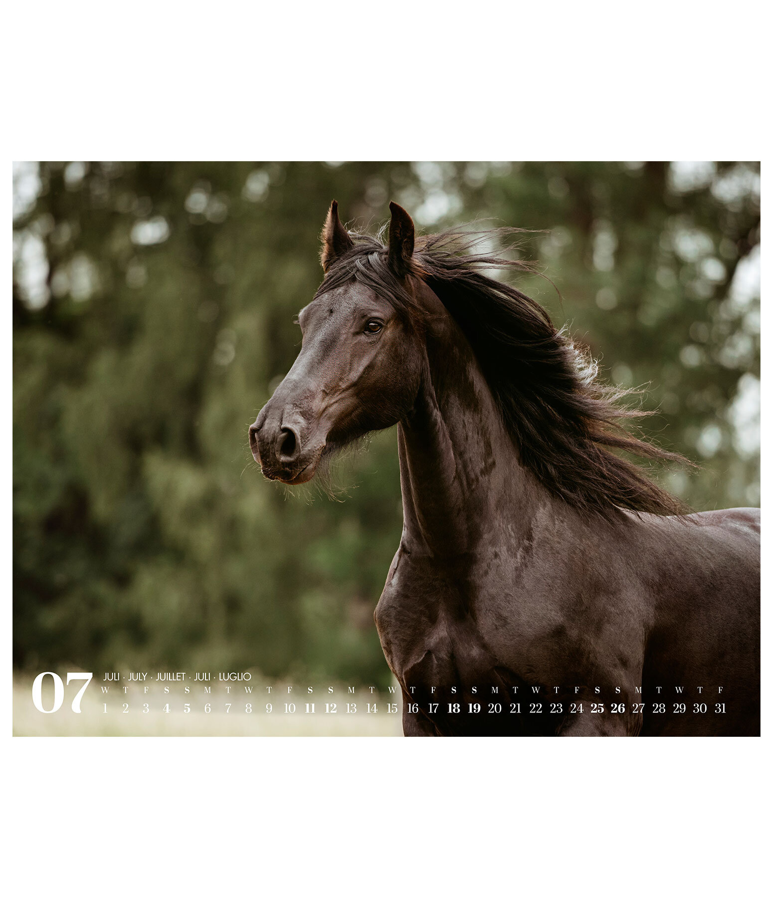 Friesen Kalender 2026