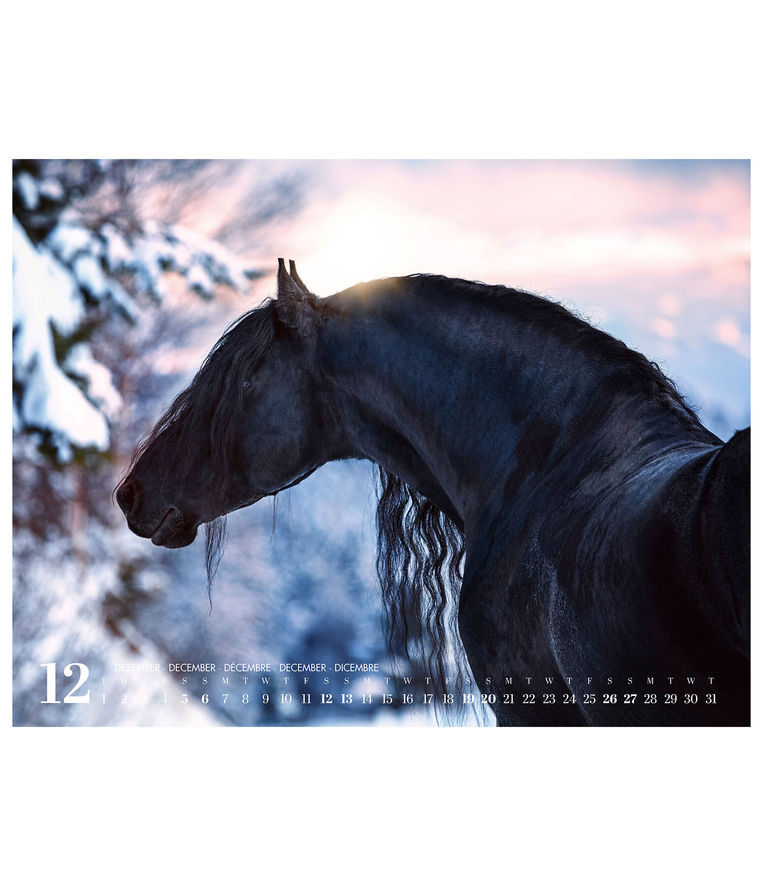 Friesen Kalender 2026