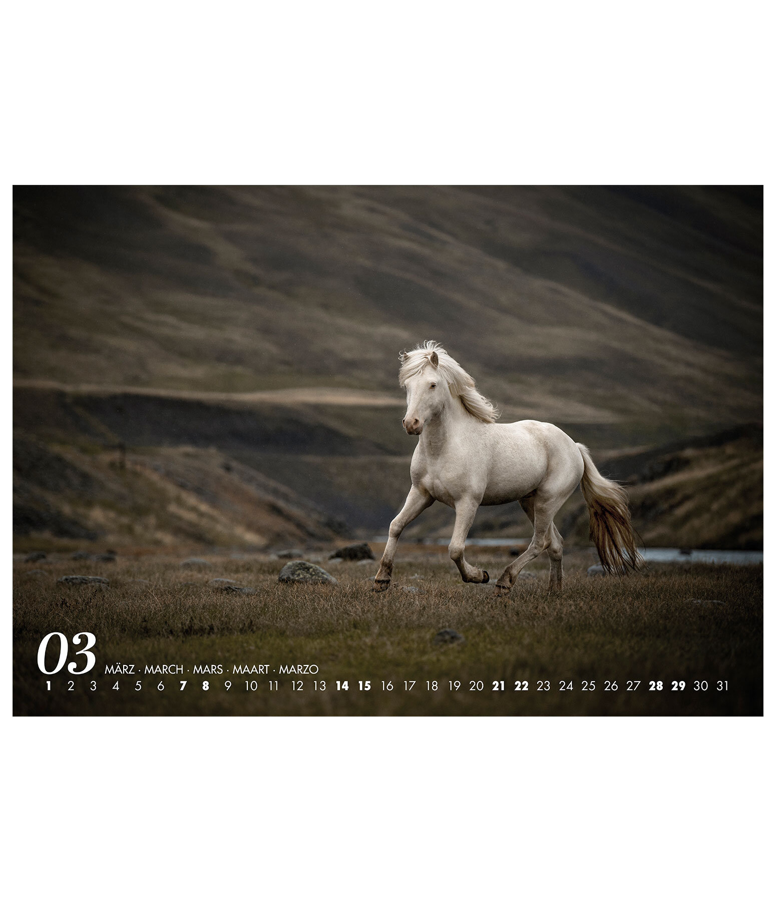 Islnder Kalender 2026