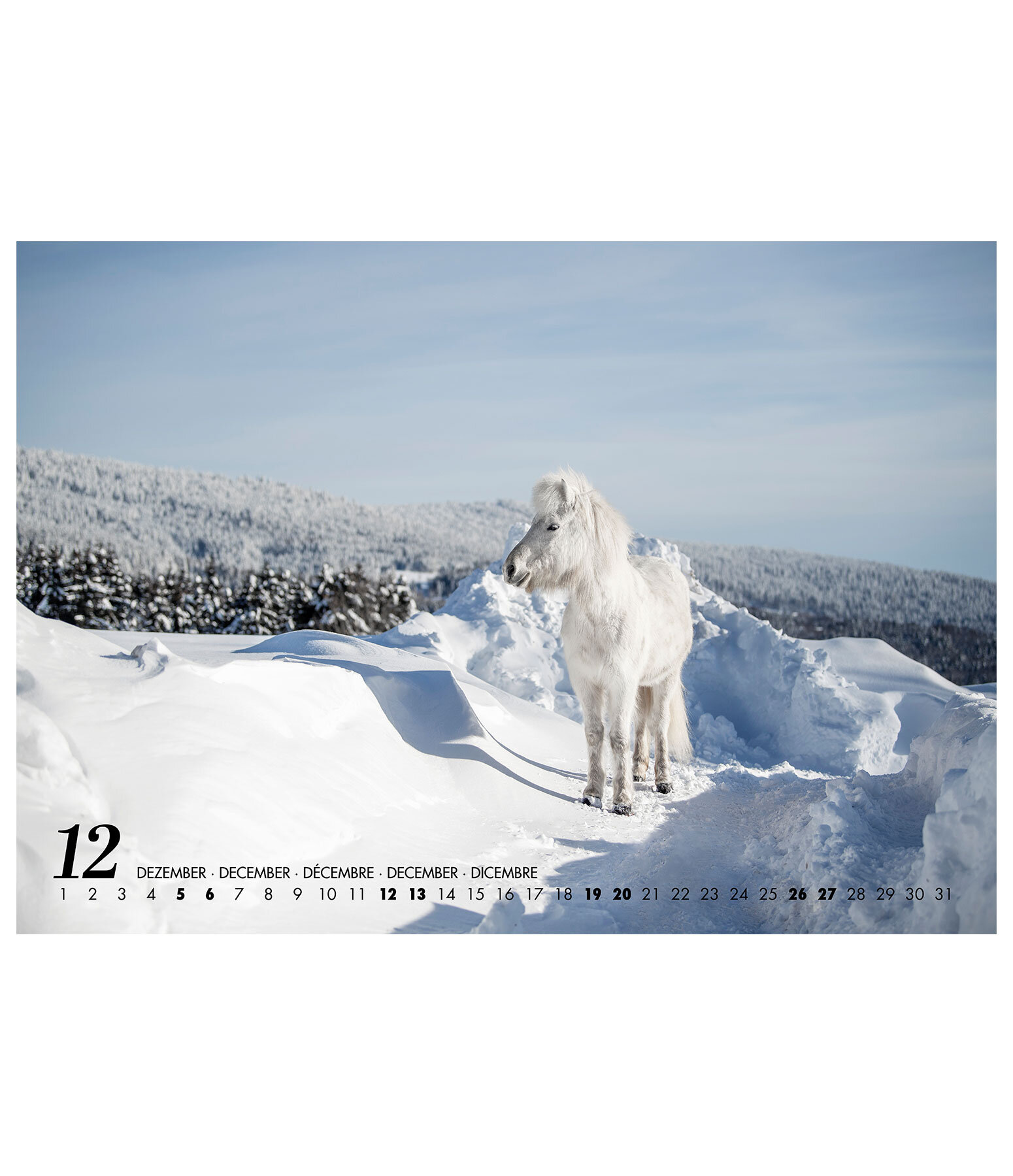 Islnder Kalender 2026