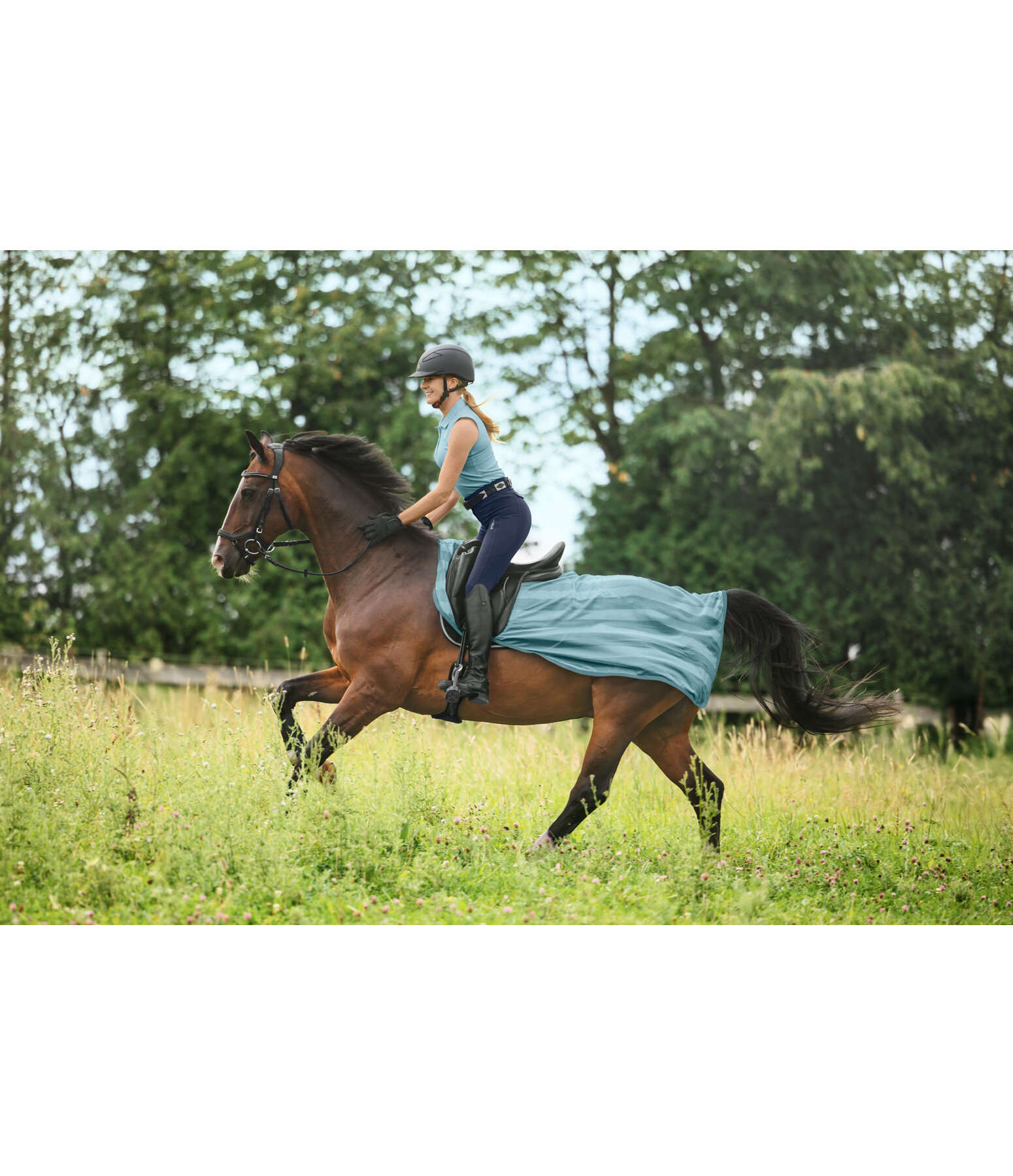 Fliegen-Ausreitdecke Economy Light