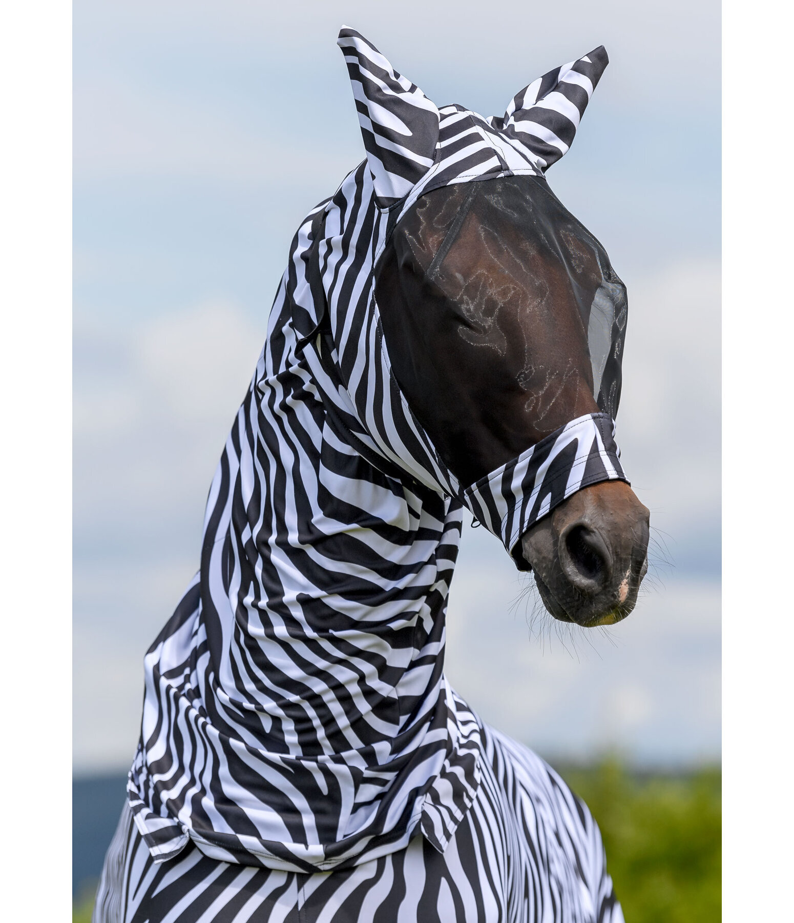 ZebraEkzemermaske Gibson Fliegenmasken & Fransen Felix Bühler