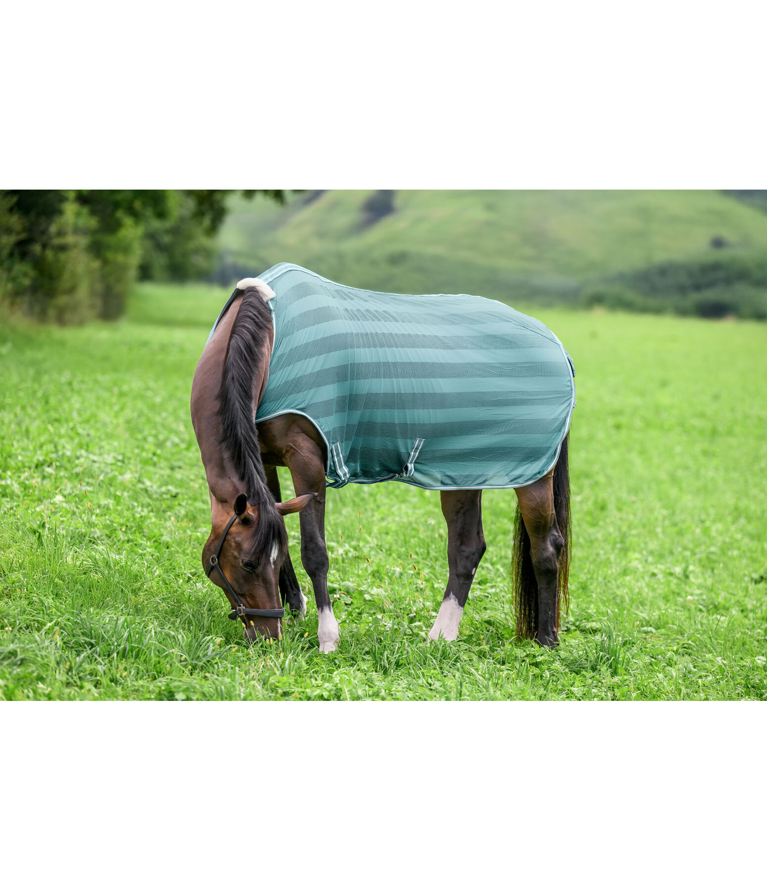 Fliegenschutz-Walker Economy Light