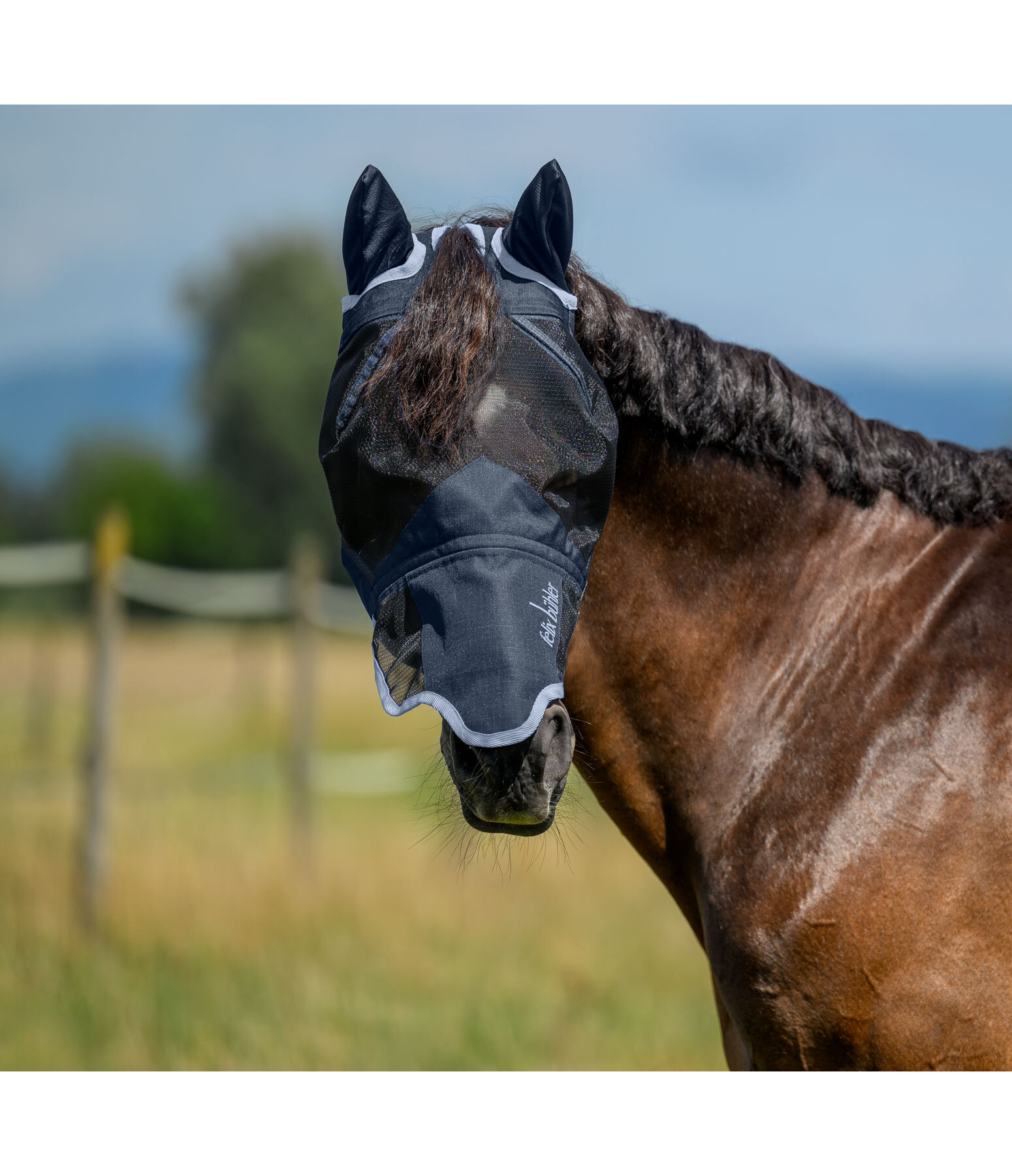 2 in 1 Fliegenmaske Sun Shield