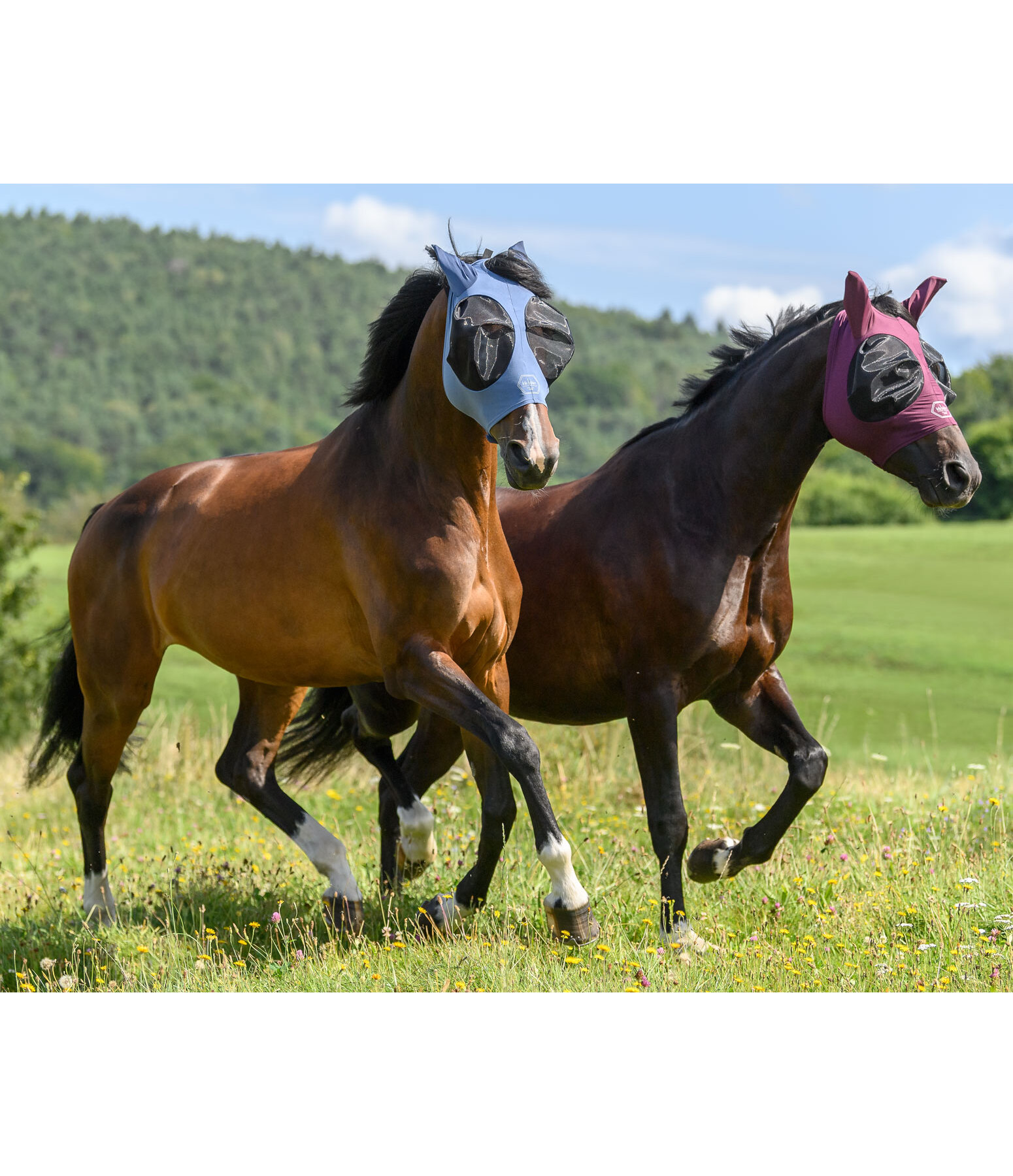 Stretch Comfort Fliegenmaske mit Reissverschluss