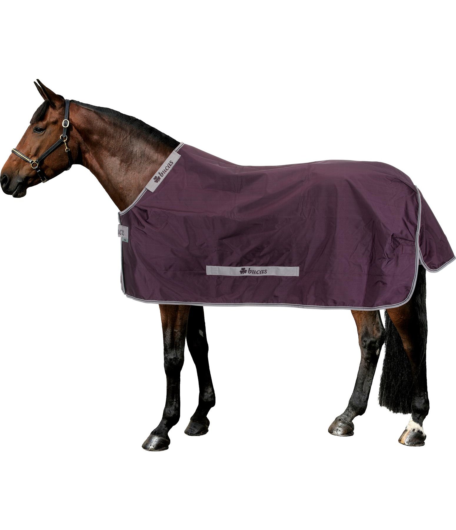 Regendecke Smartex Rain Regen Winterdecken Felix Buhler