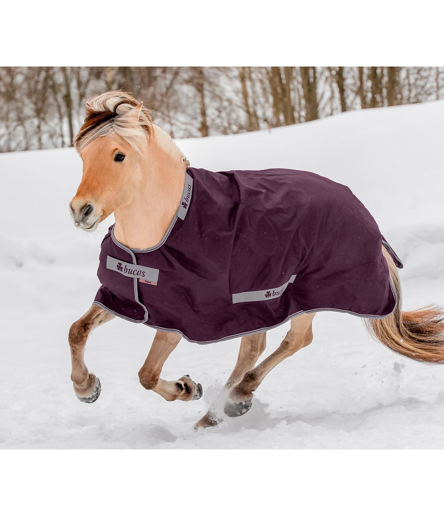 Regendecke Smartex Rain Bucas Pferdedecken Felix Bühler