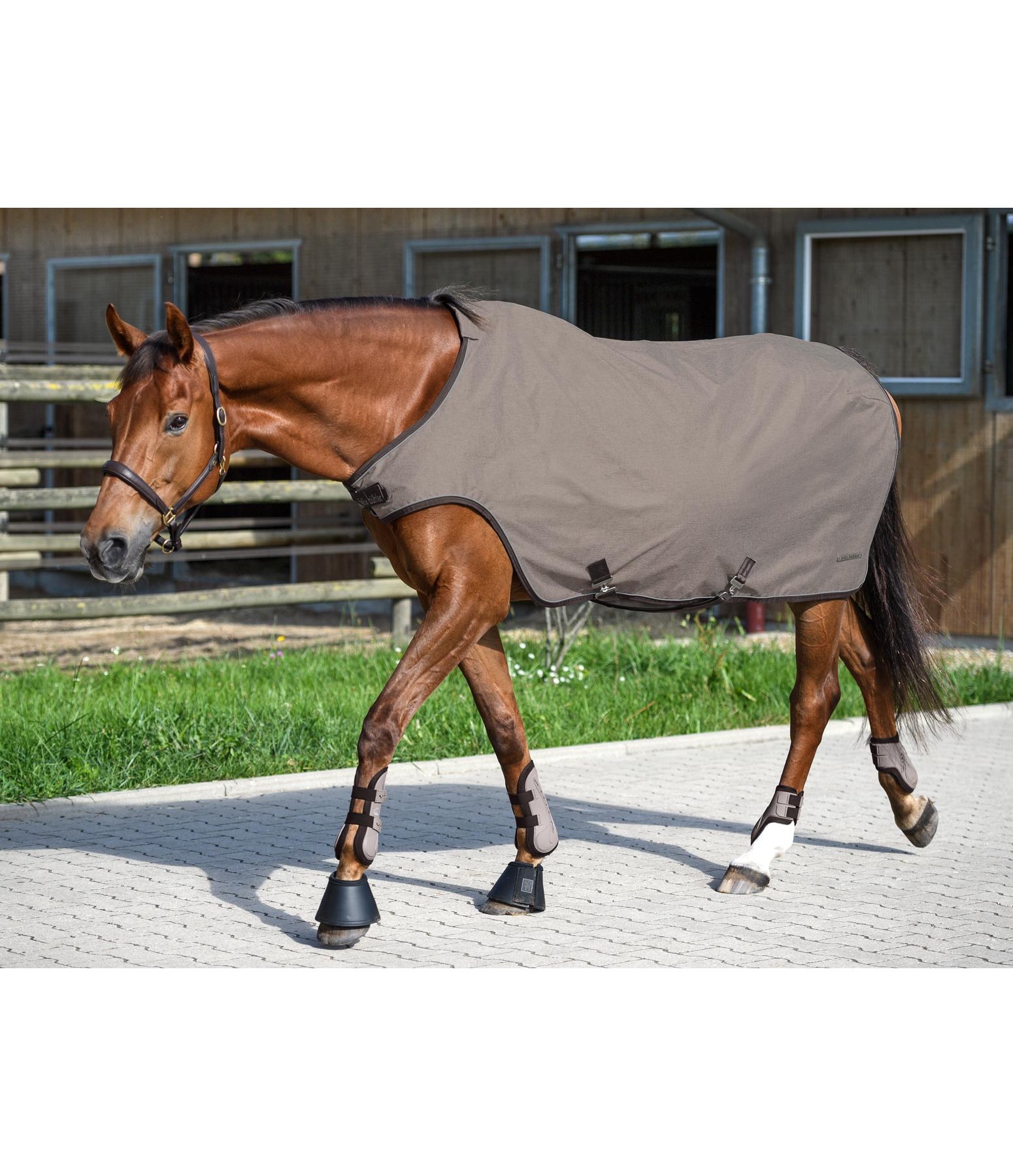 OutdoorWalker Pferdedecke Marvin Nieren, Ausreit