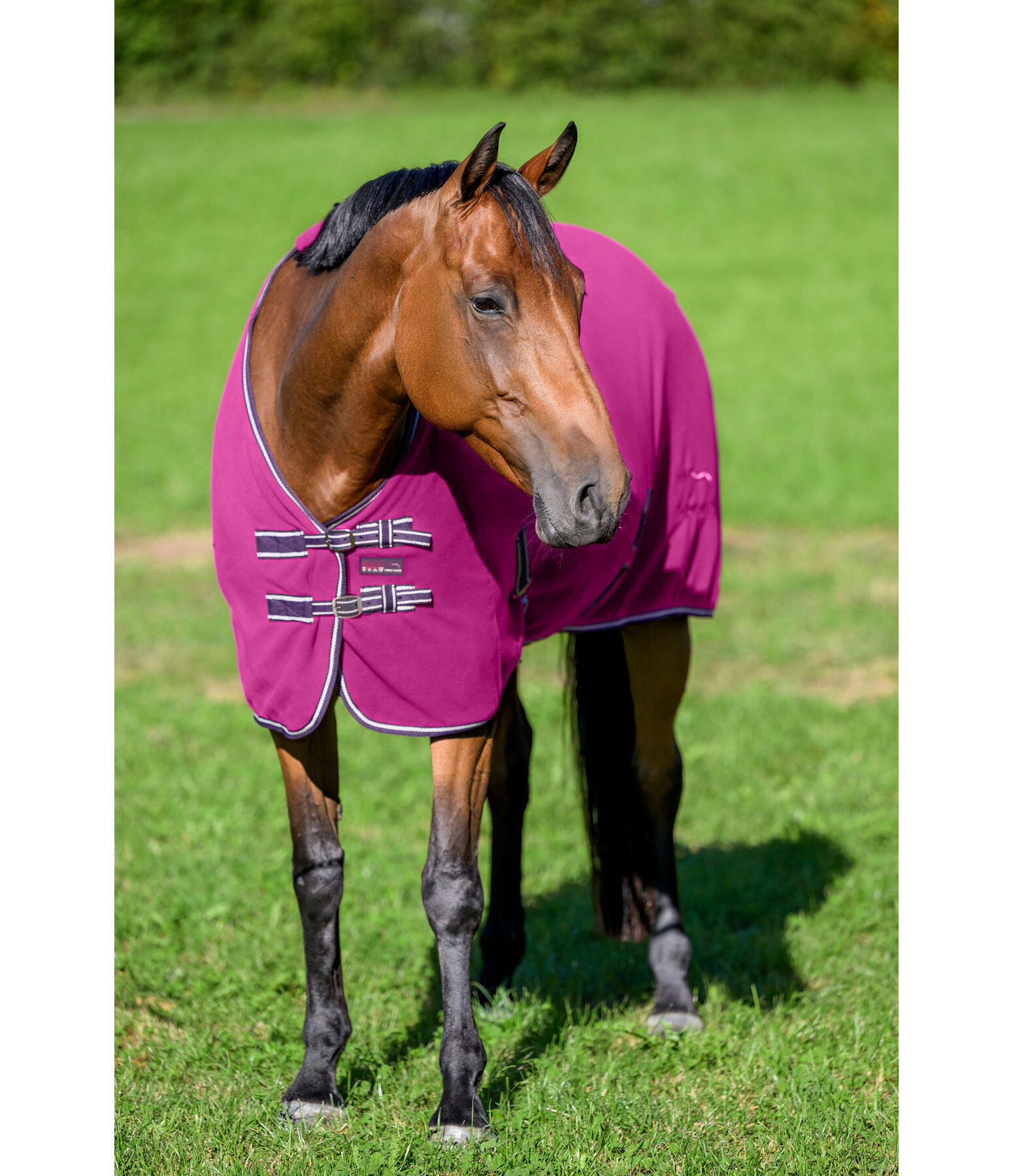 Fleece-Abschwitzdecke Activity