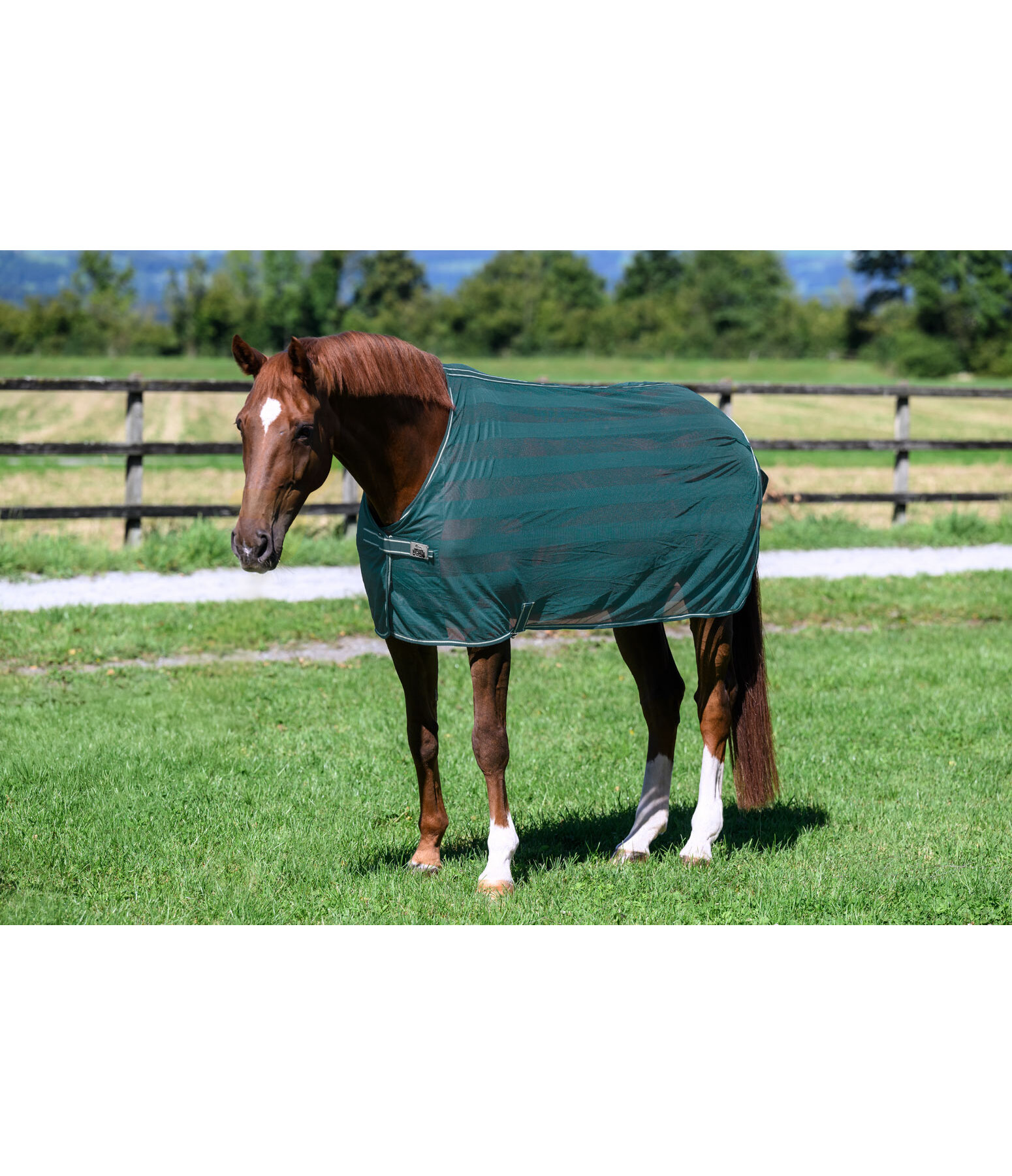 Fliegendecke Economy Light