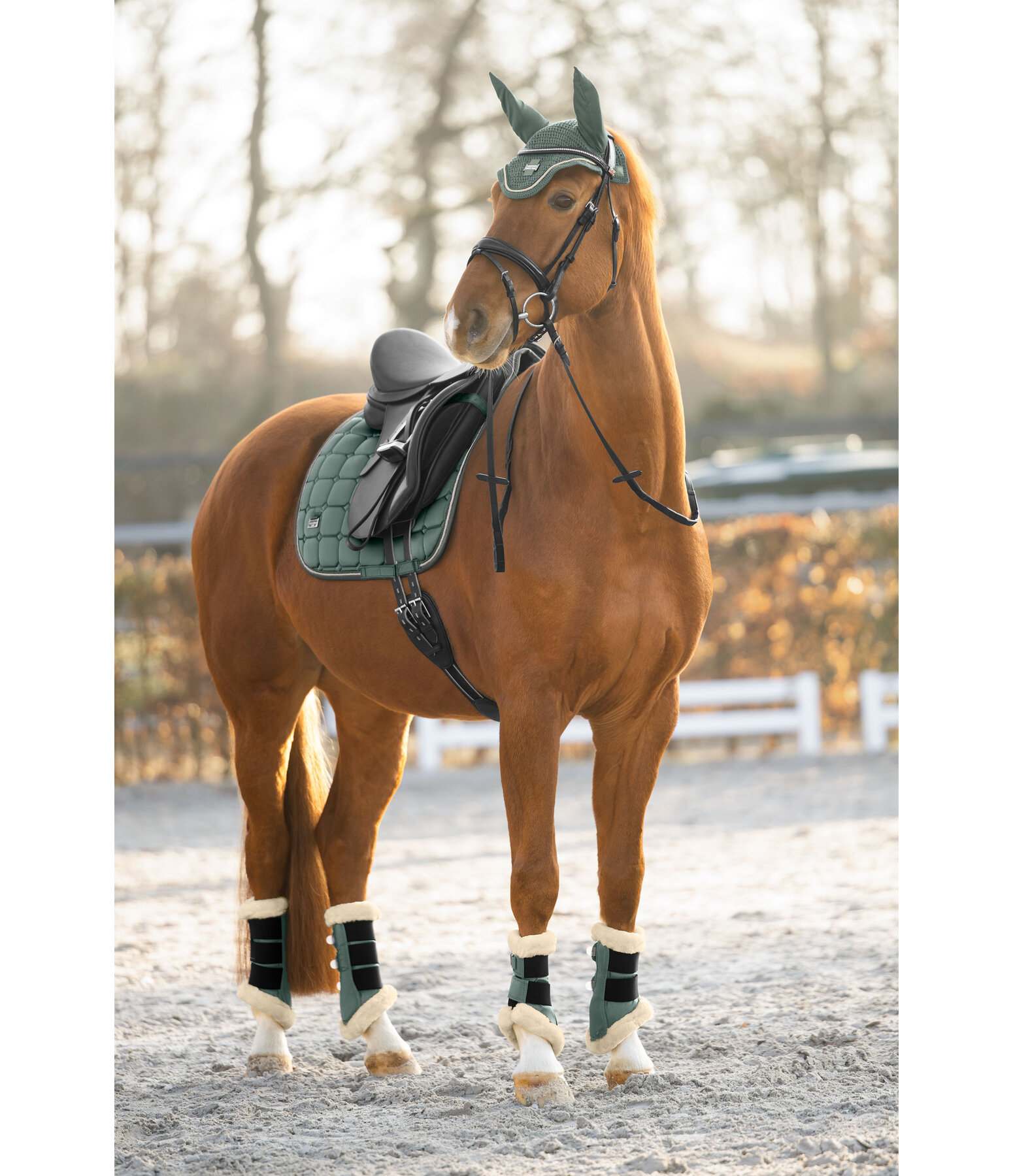 Fliegenhaube Essential