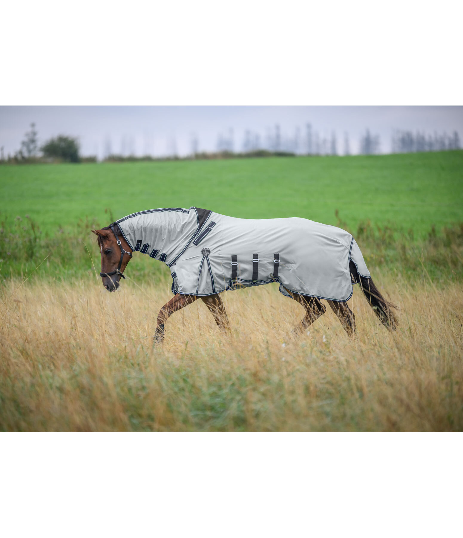 Fullneck-Fliegendecke Karoo