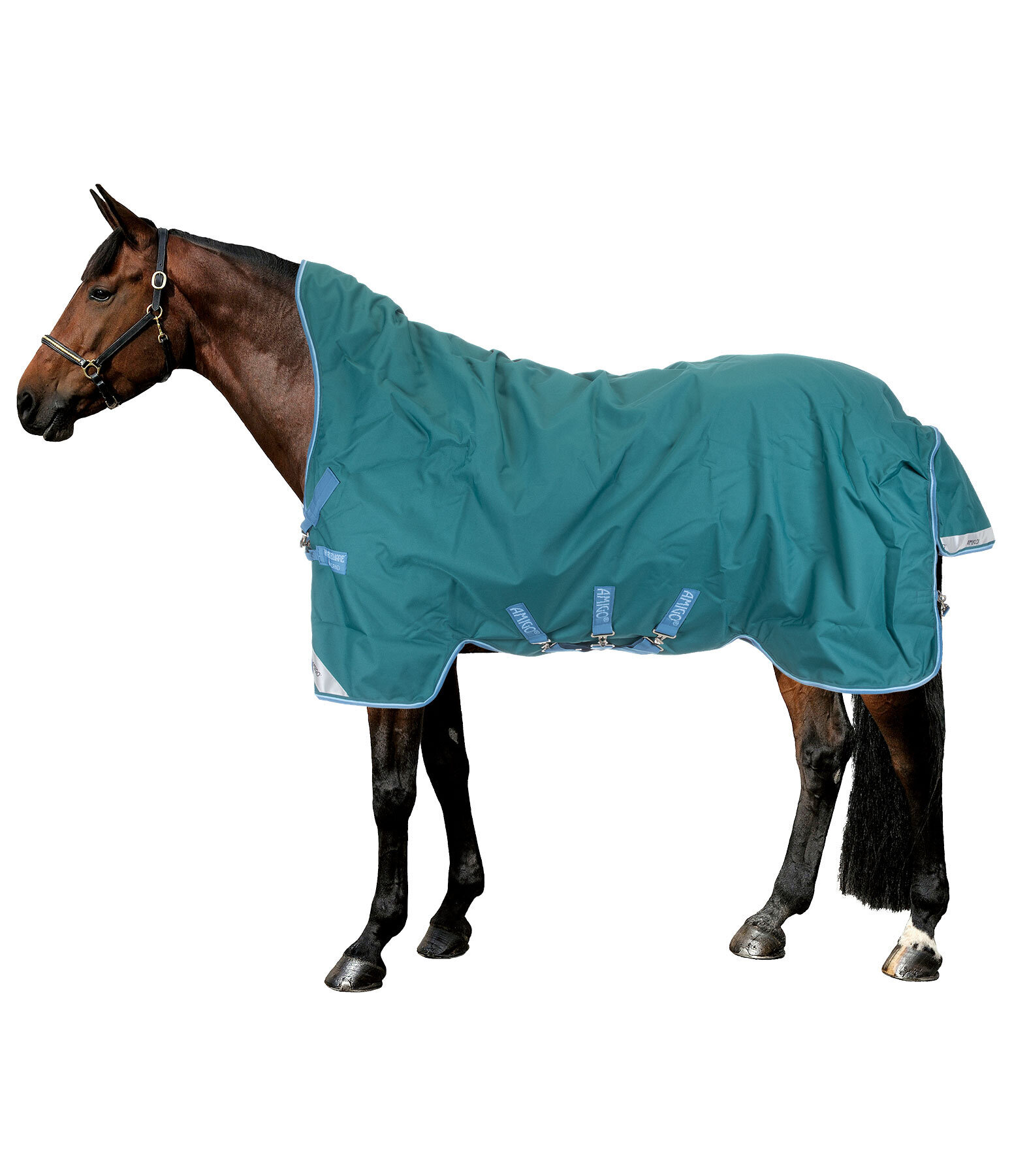 Amigo Bravo 12 Wug Lite 0 G Horseware Pferdedecken Felix Buhler Our bravo product specialists want to understand you as well as they understand the pawn business. amigo bravo 12 wug lite 0 g horseware pferdedecken felix buhler