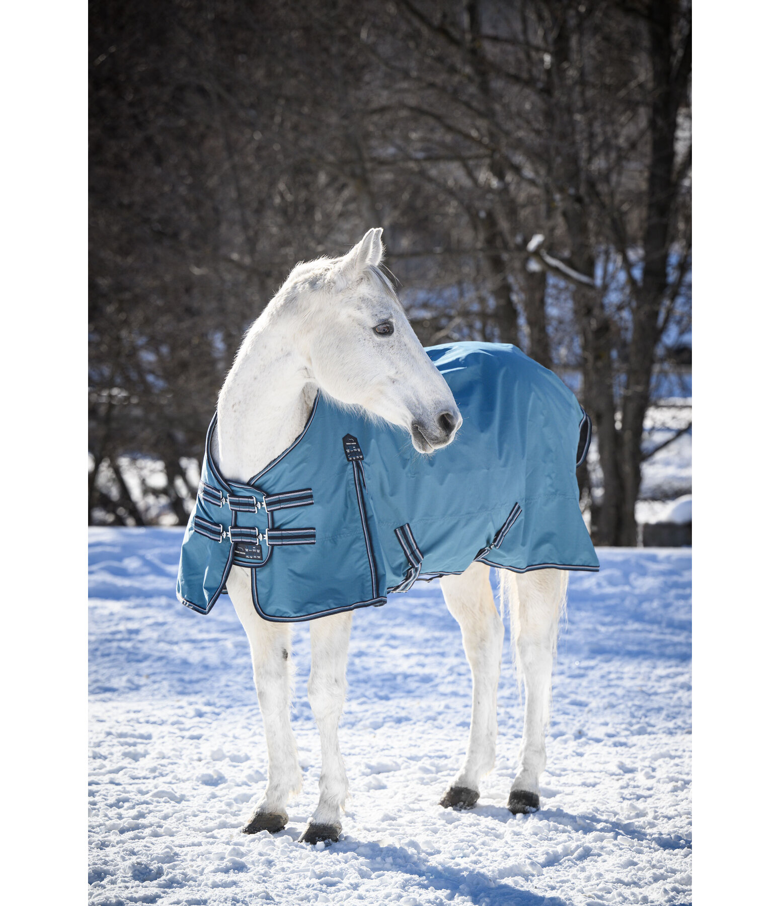 Outdoordecke Kadir IV, 0 g