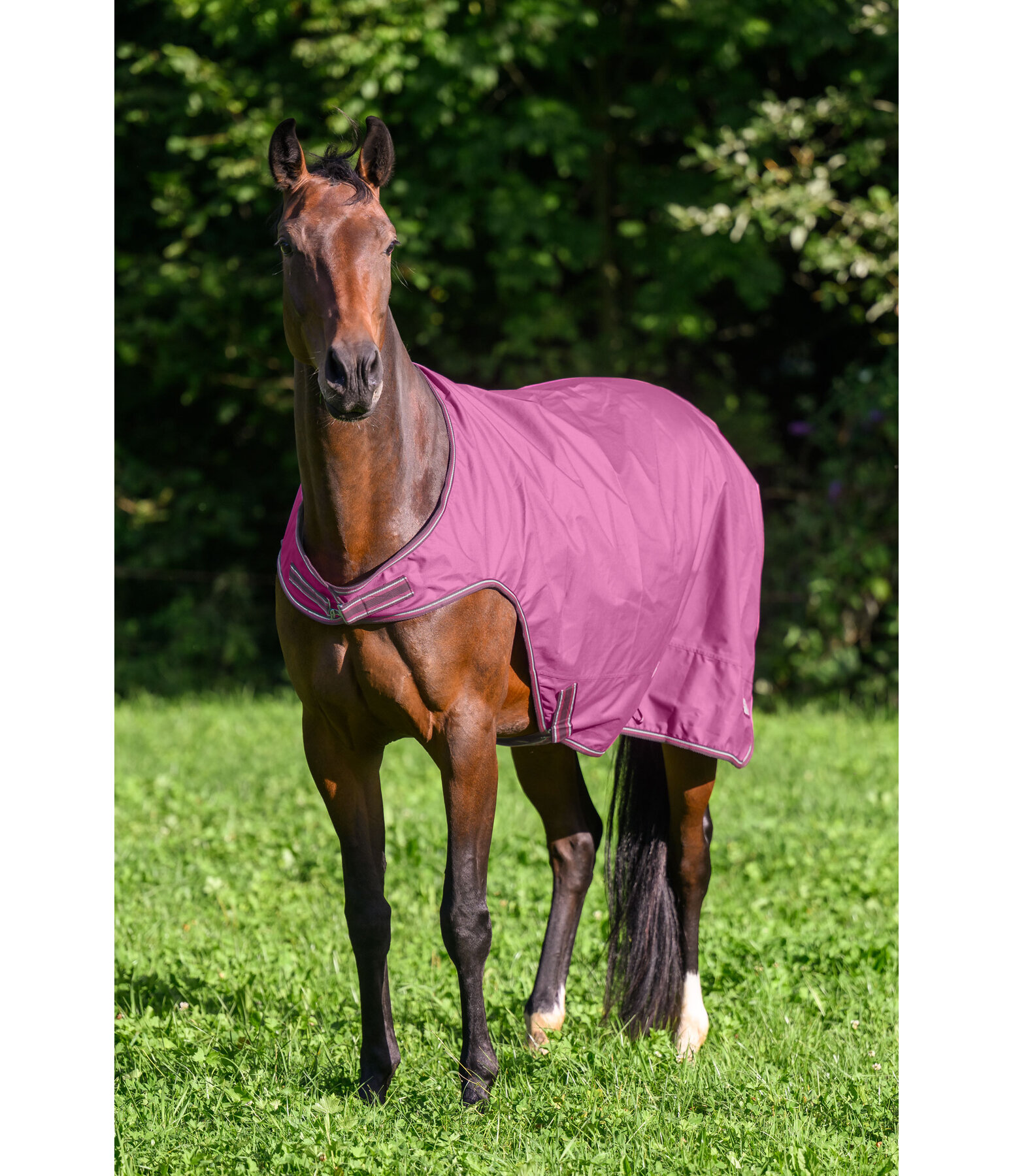 Outdoor-Walker Kasimo II, 0 g