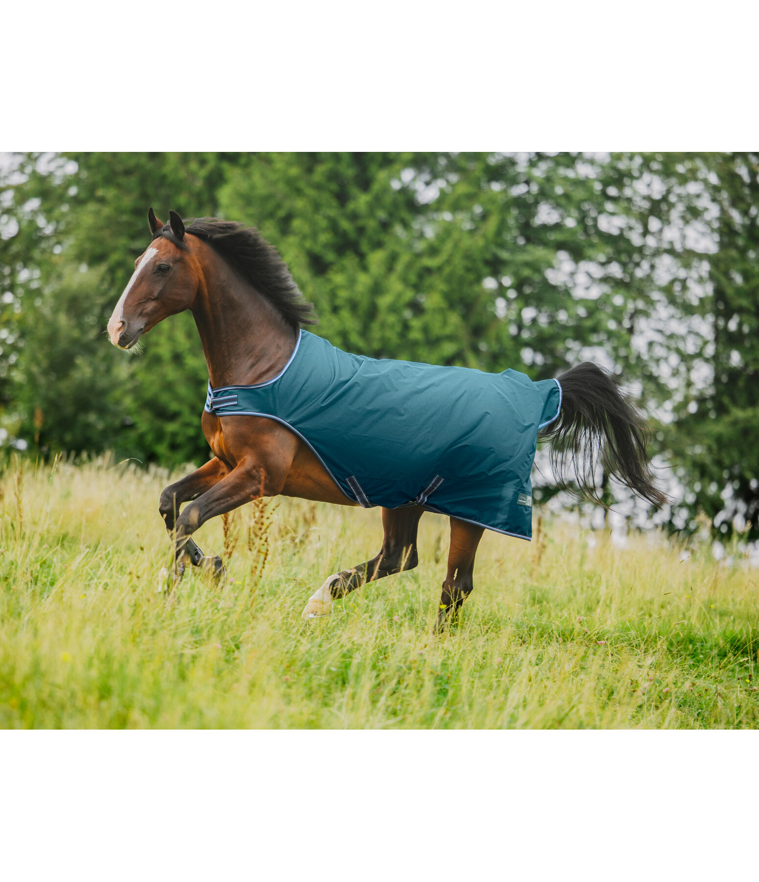 Outdoor-Walker Kasimo II, 0 g