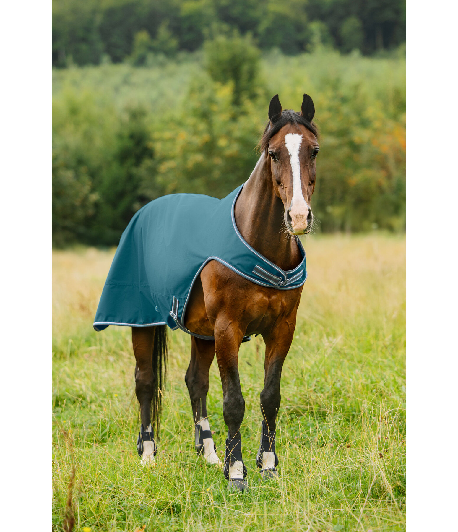 Outdoor-Walker Kasimo II, 0 g