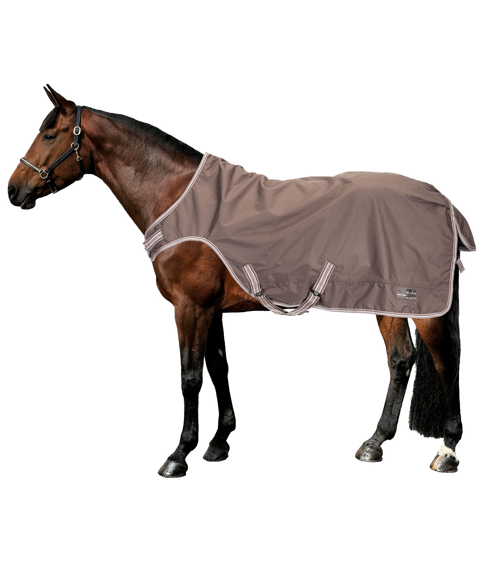 Outdoor-Walker Kasimo II, 0 g