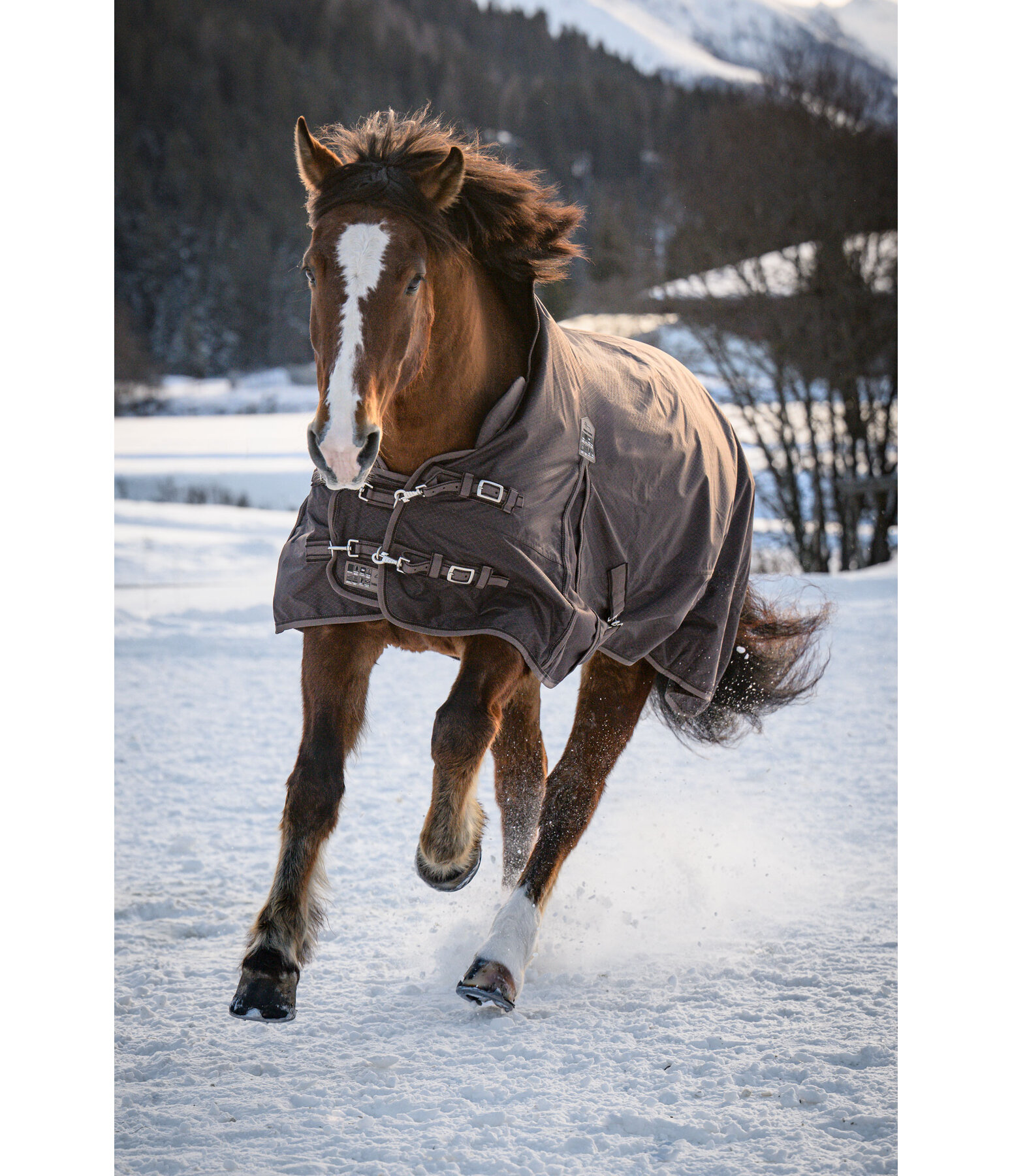 Highneck Outdoordecke Jesco II mit Fleeceinnenfutter, 0 g