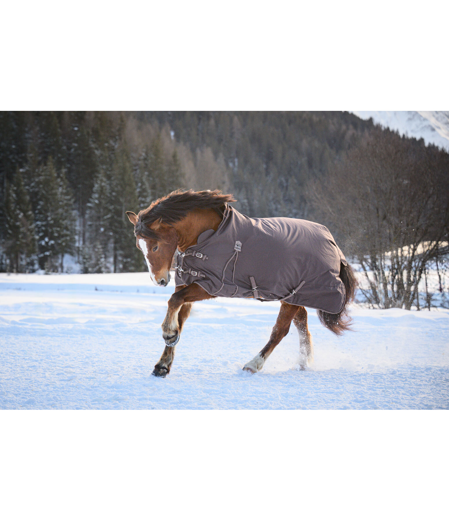 Highneck Outdoordecke Jesco II mit Fleeceinnenfutter, 0 g