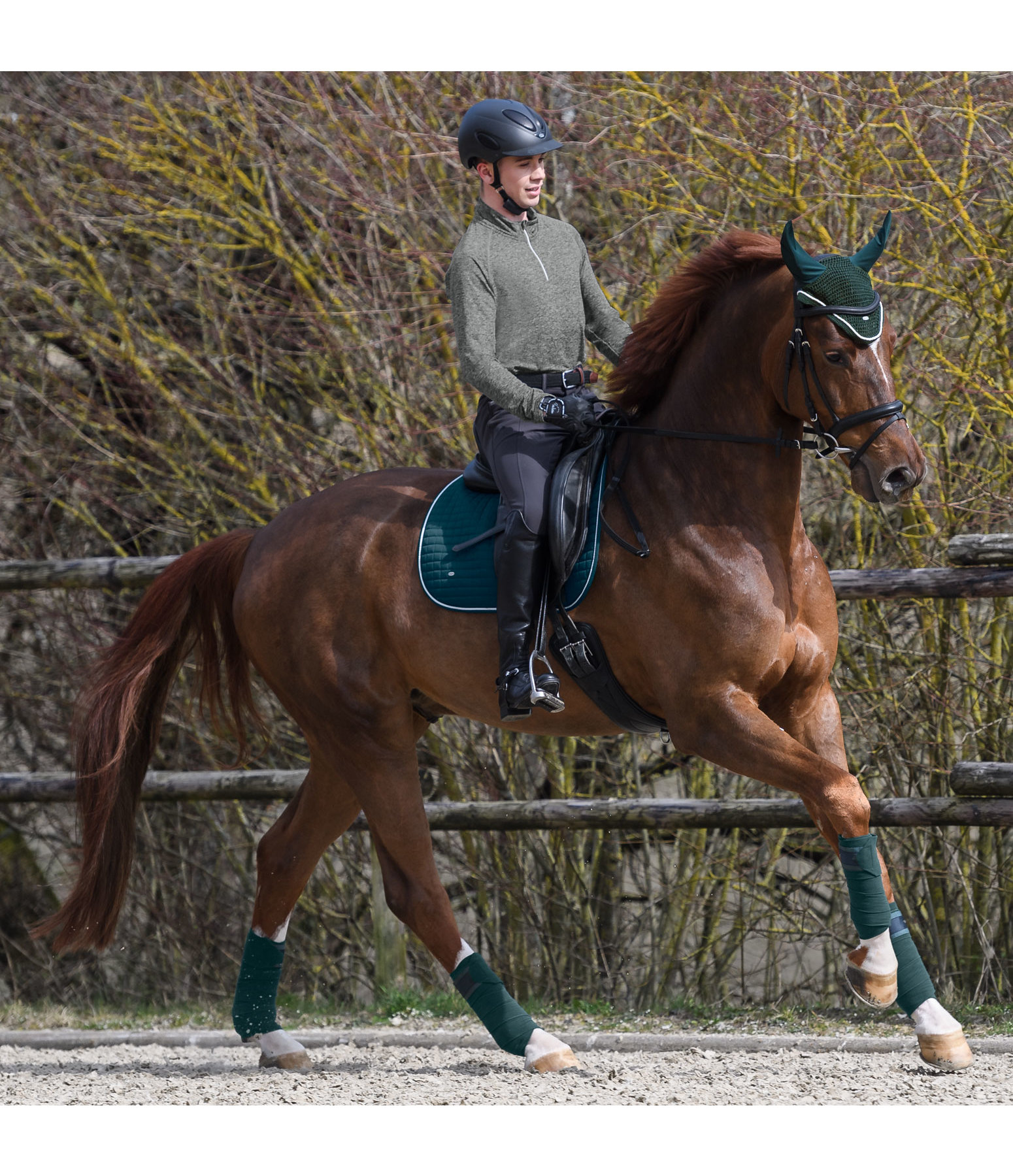 Fliegenhaube Basic