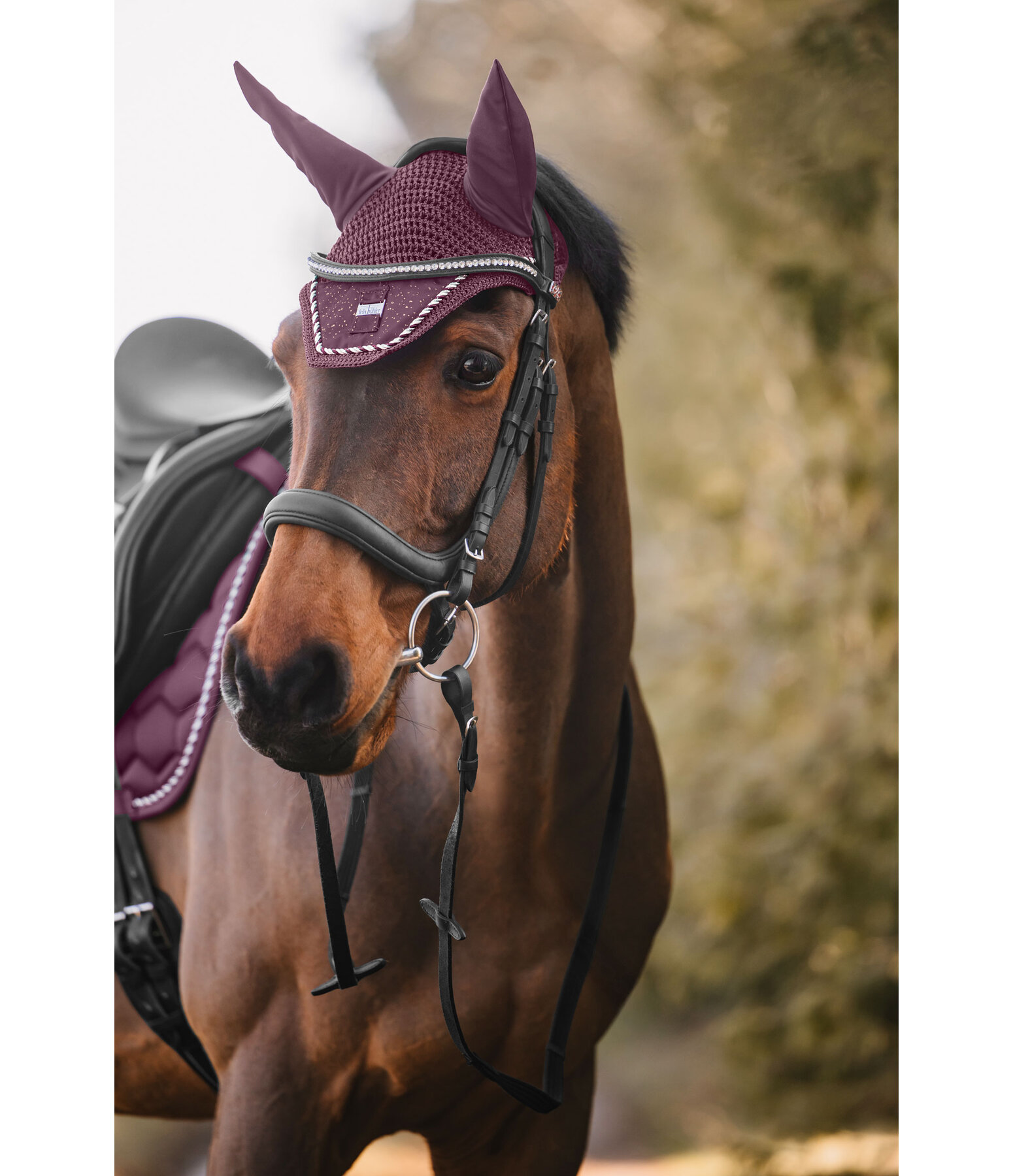 Fliegenhaube Sparkling II