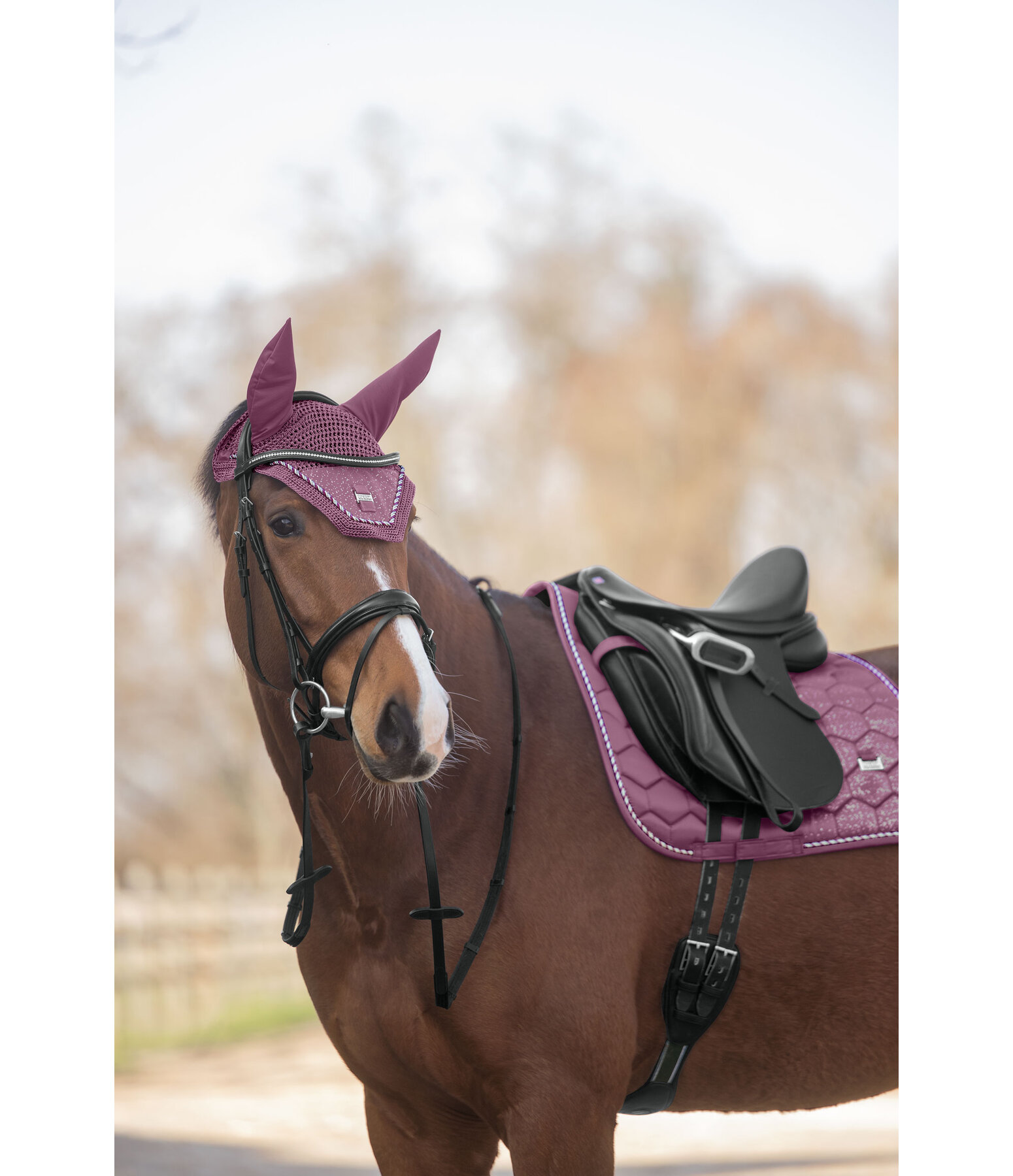 Fliegenhaube Sparkling II