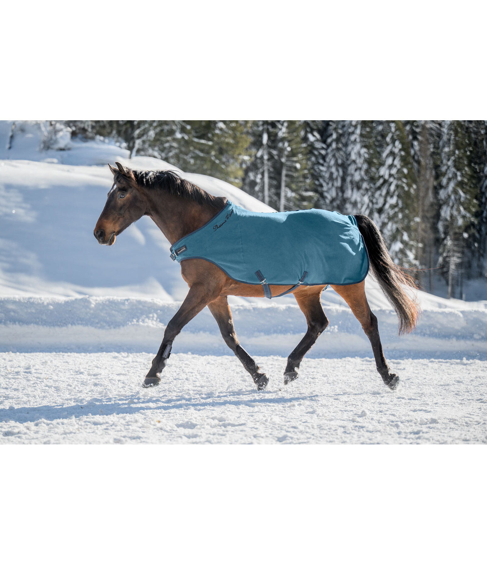 Fleece-Walker Activity