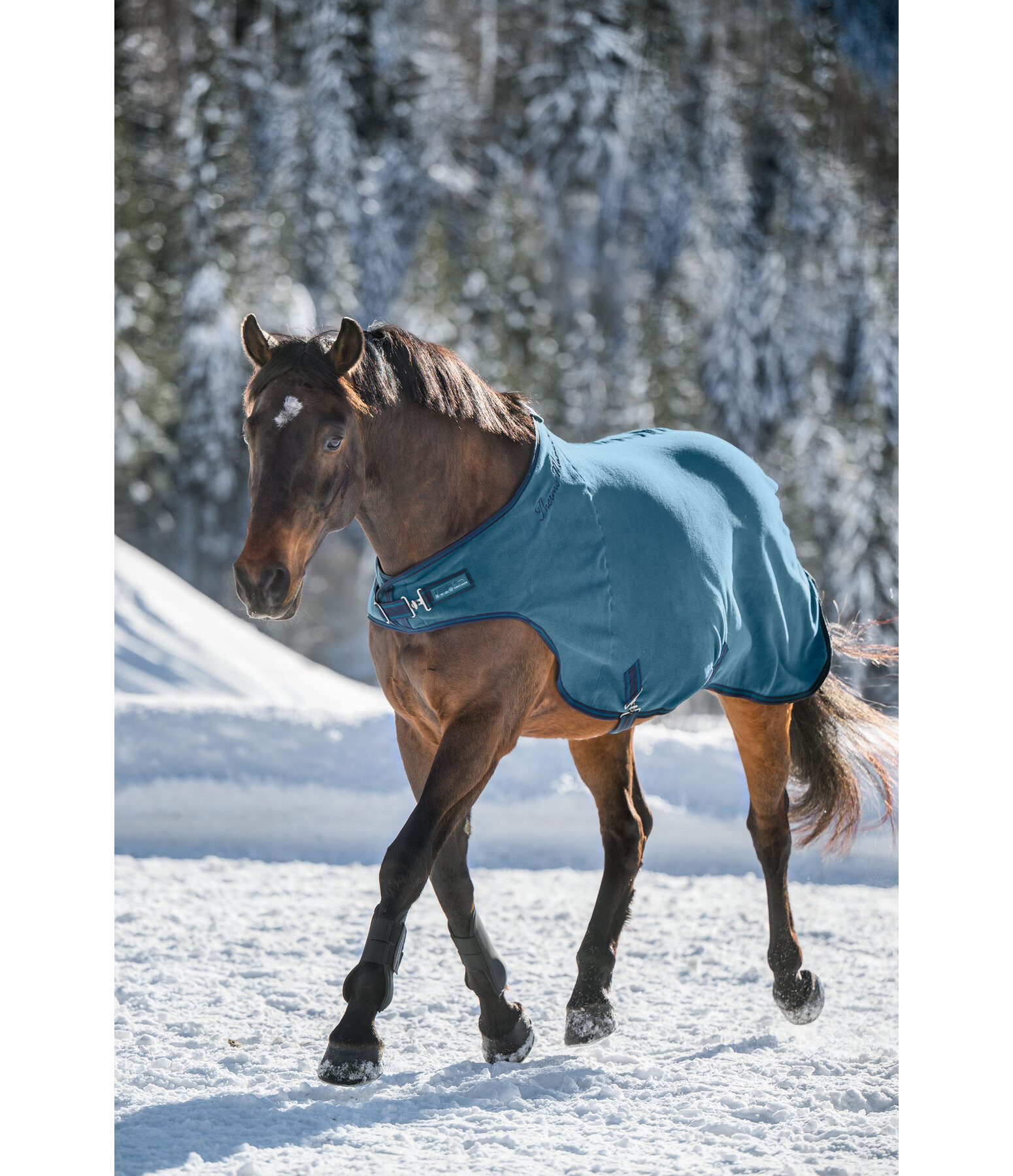 Fleece-Walker Activity