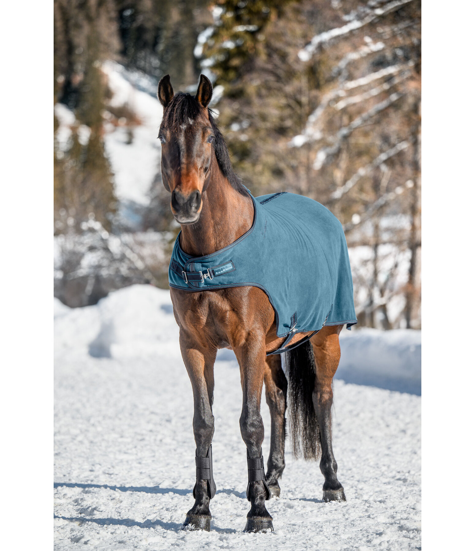 Fleece-Walker Activity