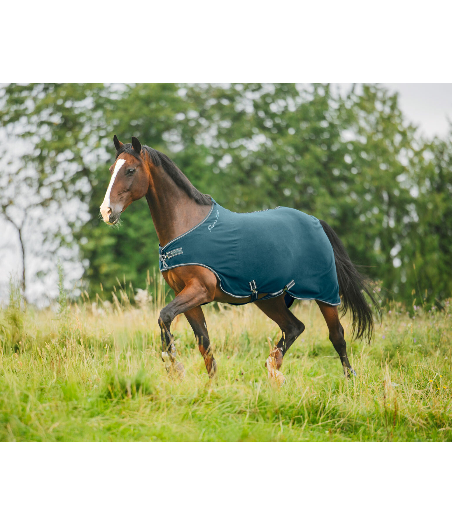 Fleece-Walker Activity