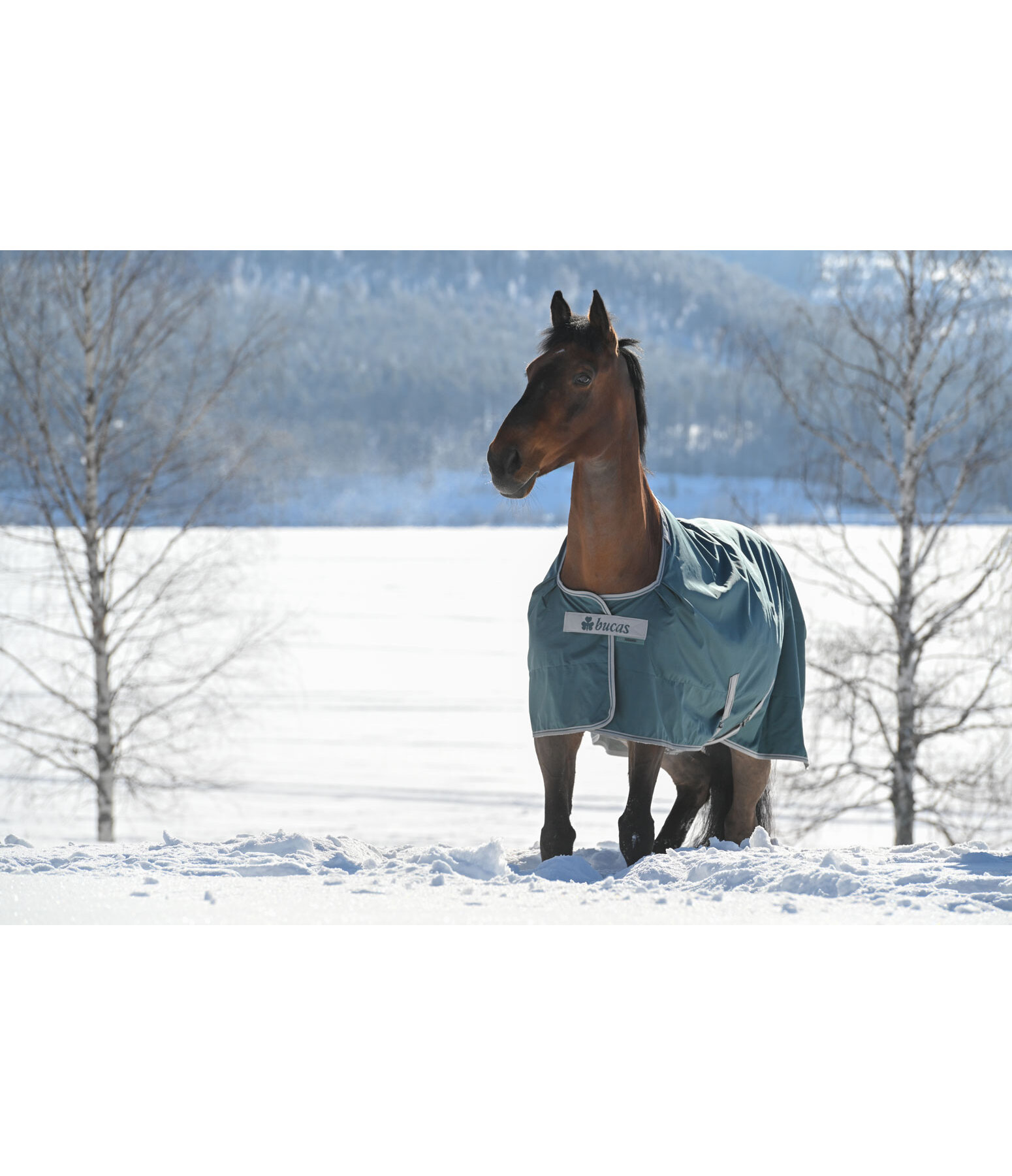 Outdoordecke Atlantic Turnout 50 Regularneck mit Dermo-Care, 50 g
