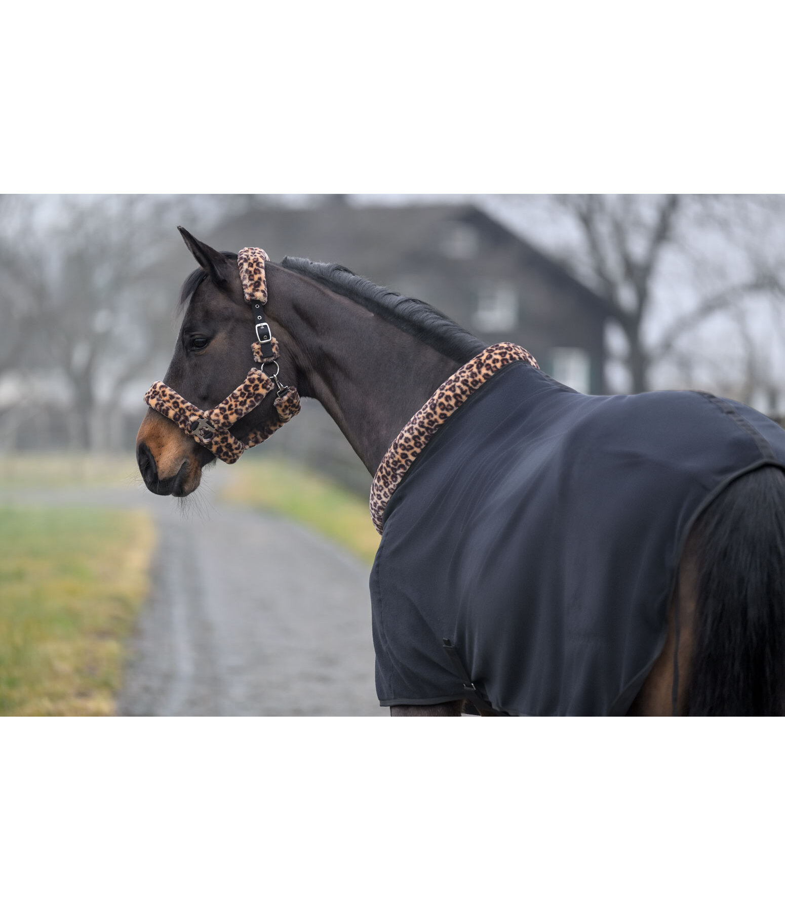 Fleecedecke mit Teddyfellkragen Leo