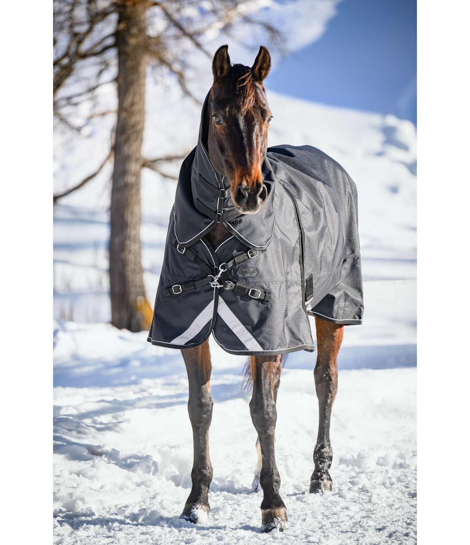 Regularneck Outdoordecke Liberty II mit Liner-System, 0 g