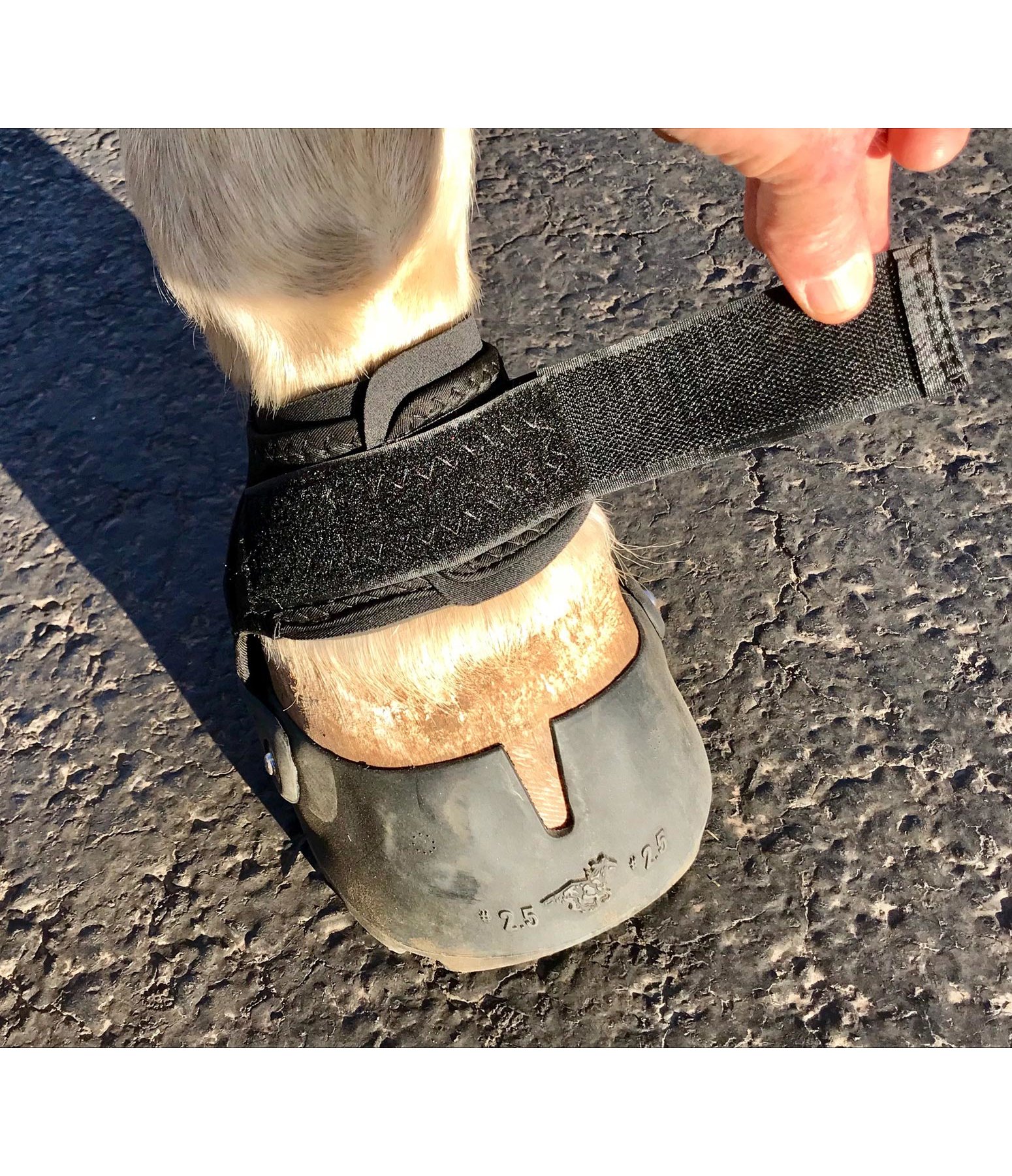 easyboot glove 0