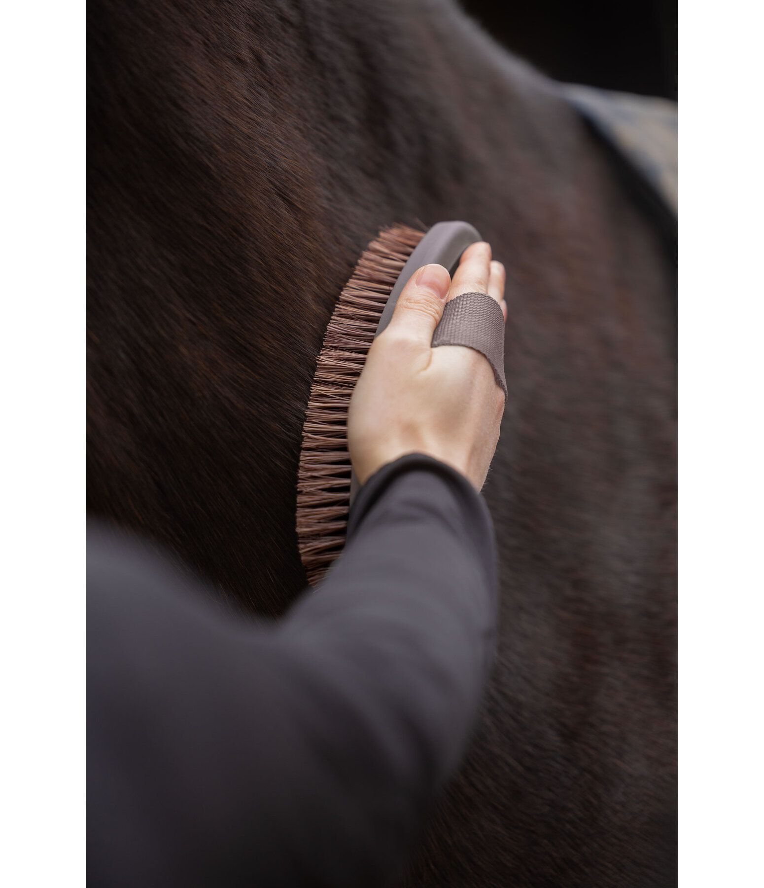 Kard�tsche Soft