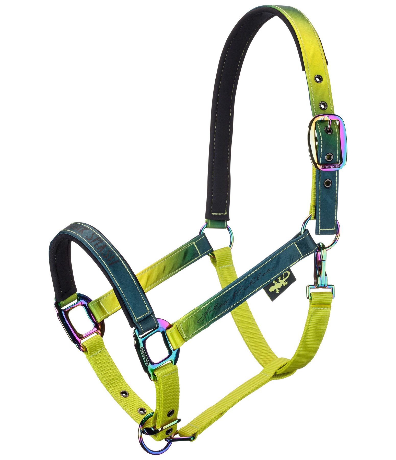 Halfter Colour Splash - Halfter - Felix Bühler