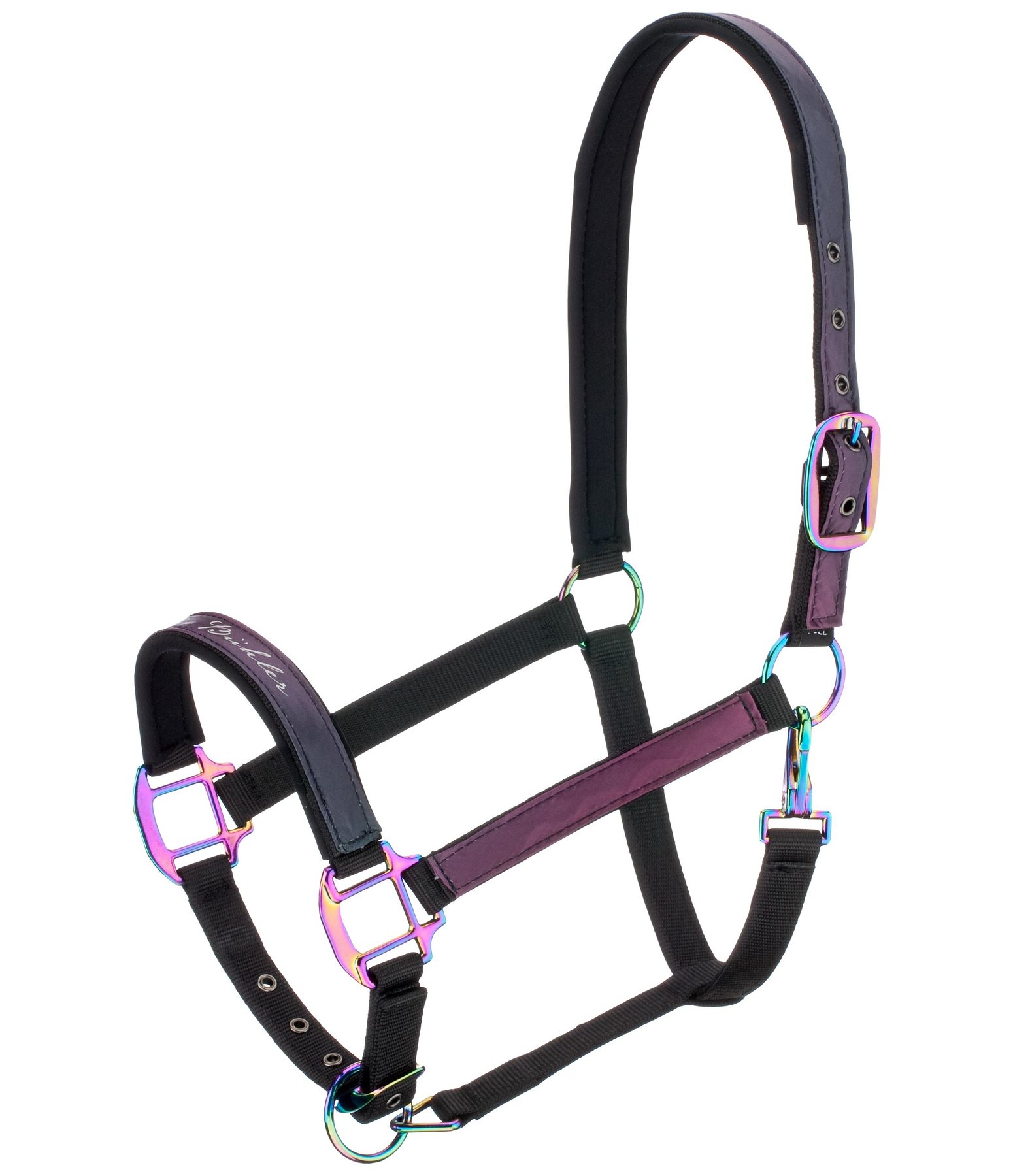 Halfter Colour X-Plosion Ashley - Felix Bühler