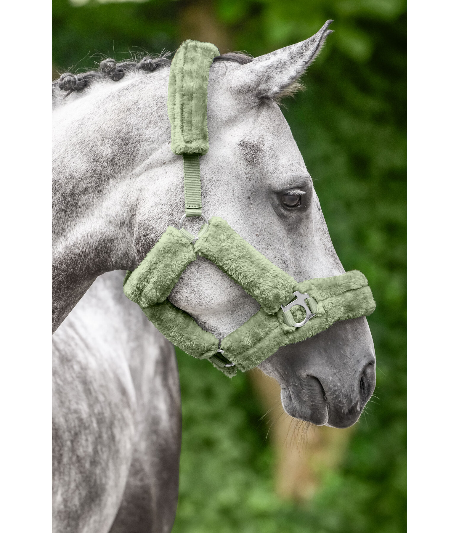 Teddyfleece-Halfter Protection