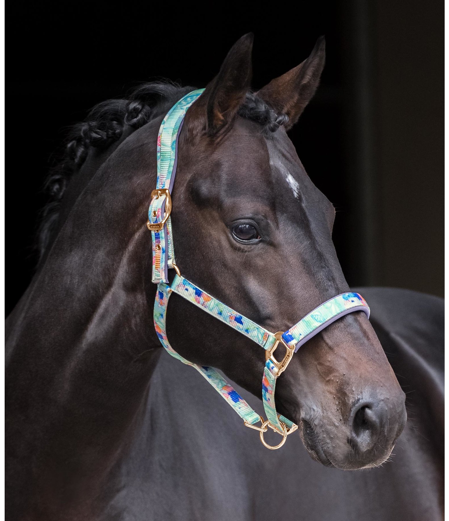 felix bühler fesselkopfgamaschen