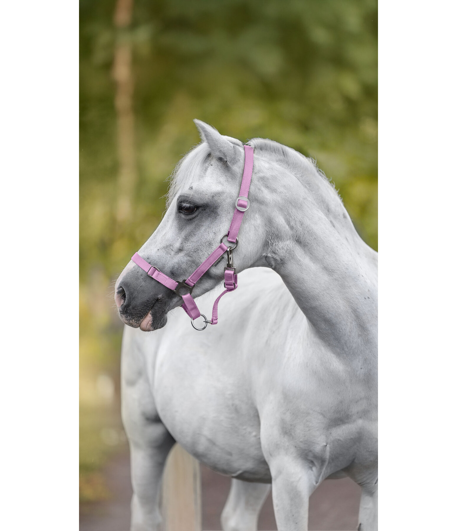 Fohlen- und Shettyhalfter Grow with You