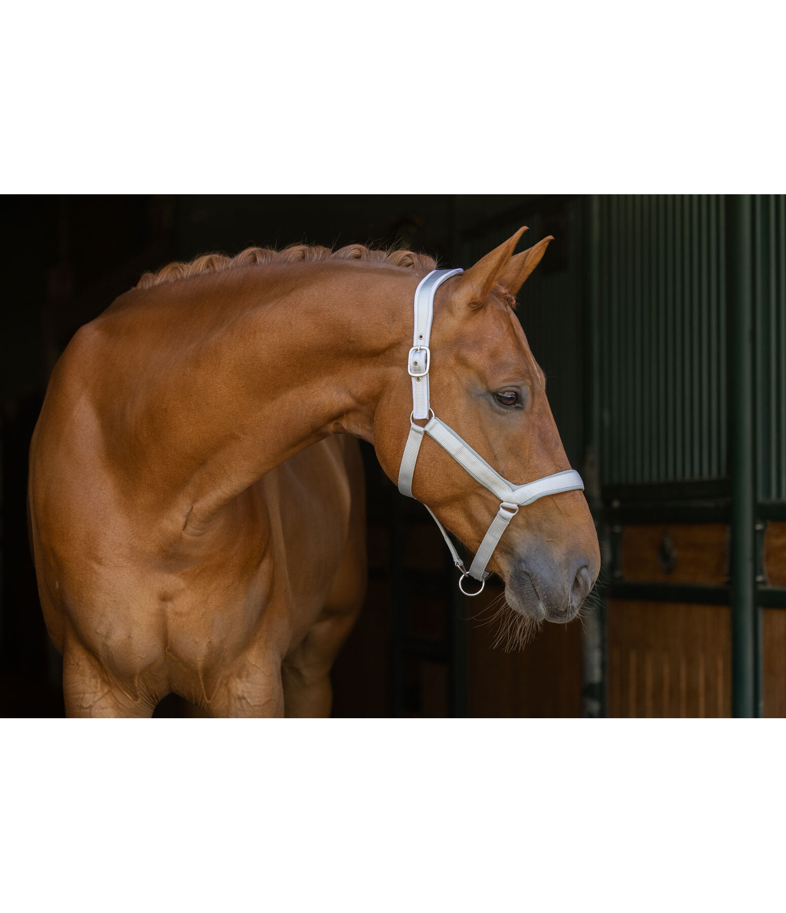 Anatomical Relaxation