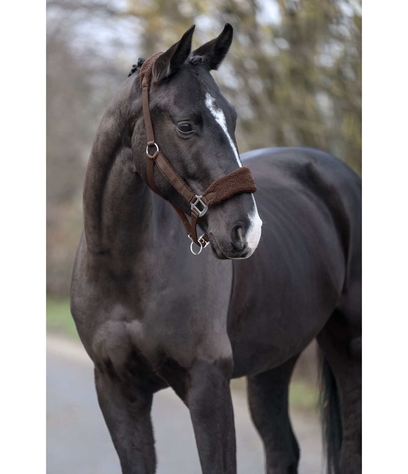 Teddyfleece-Halfter