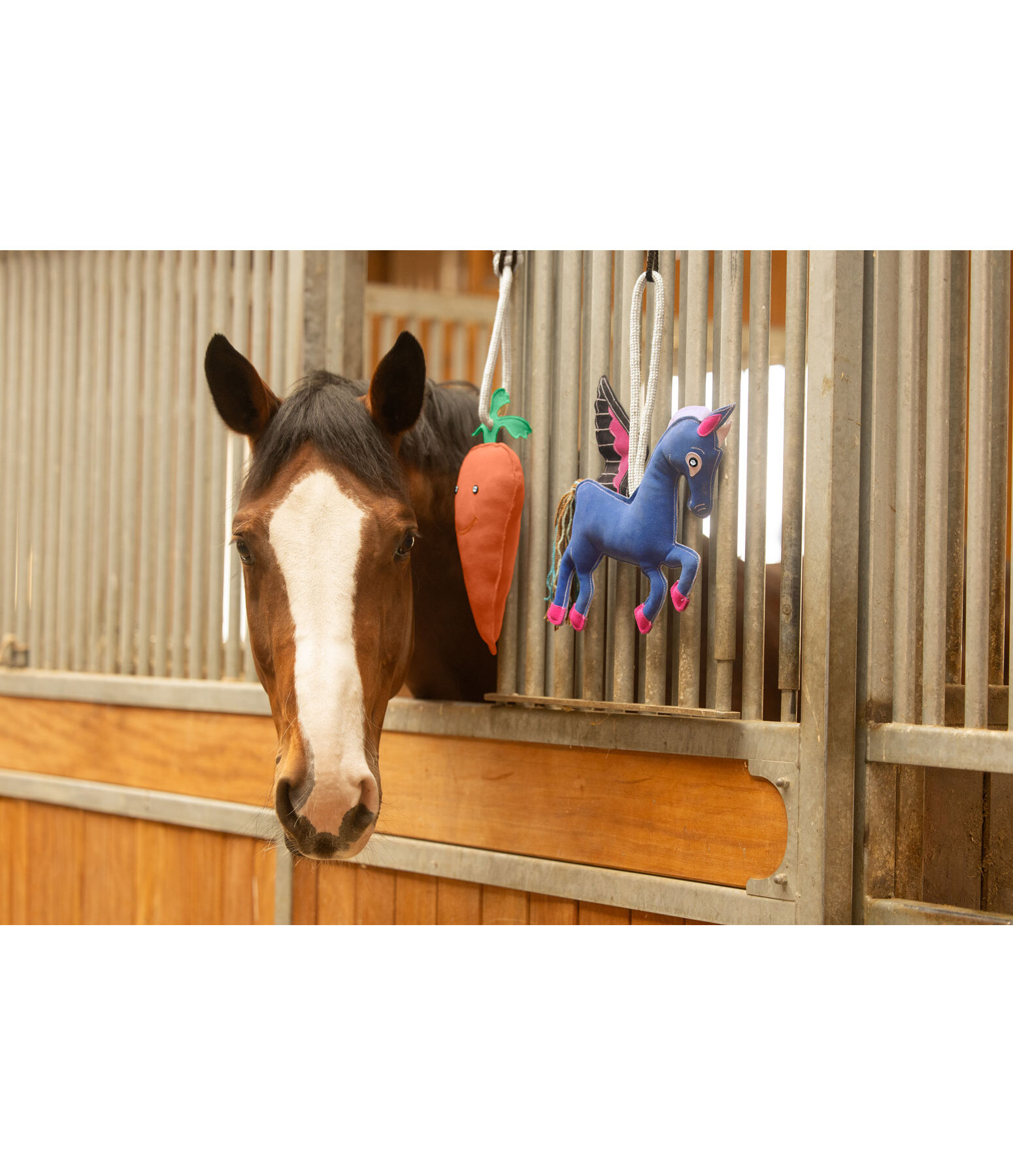 Pferdespielzeug Carrot