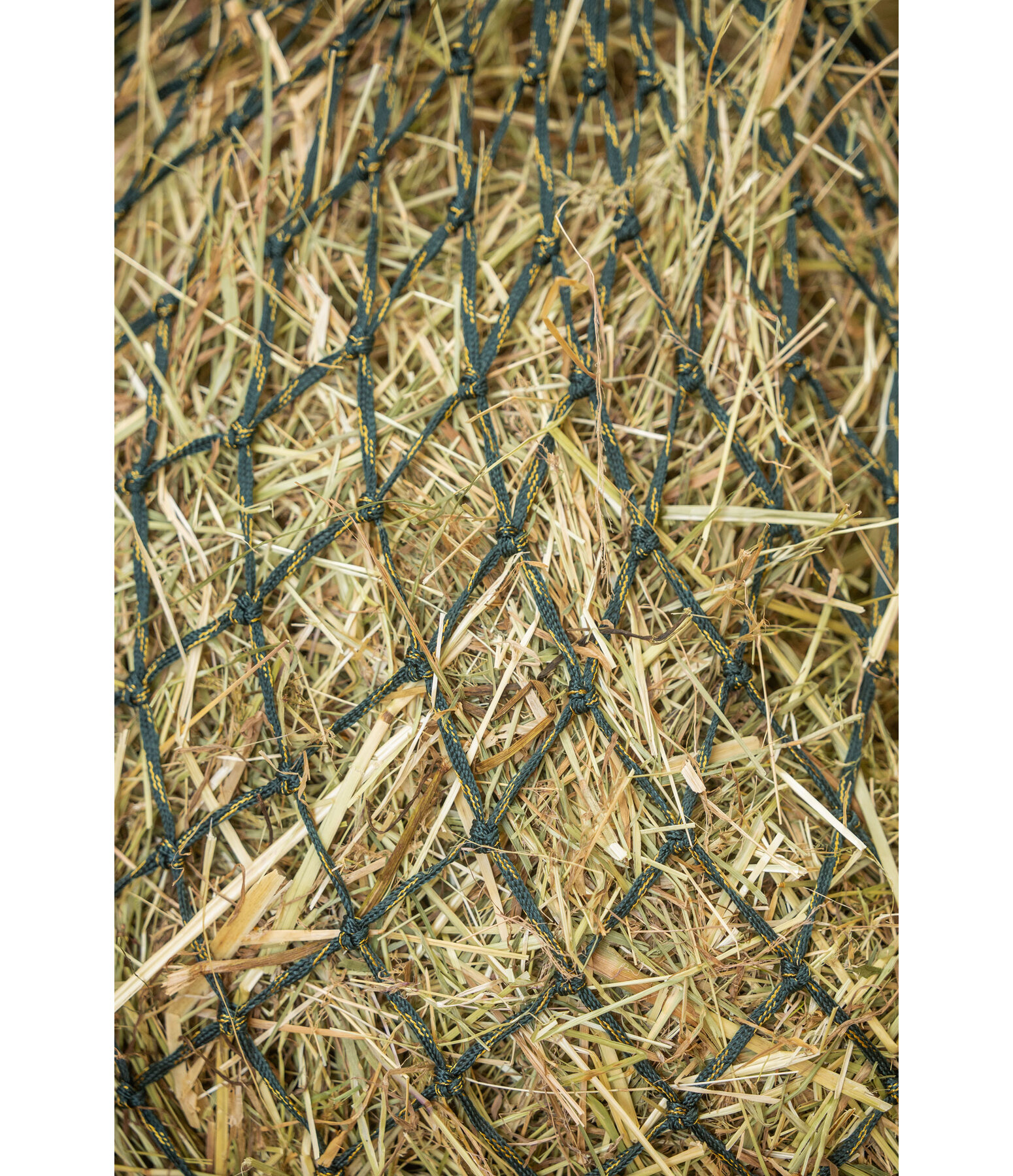   Heunetz Glitter, Maschenbreite 5 x 5 cm, Fassungsverm�gen 6 kg 